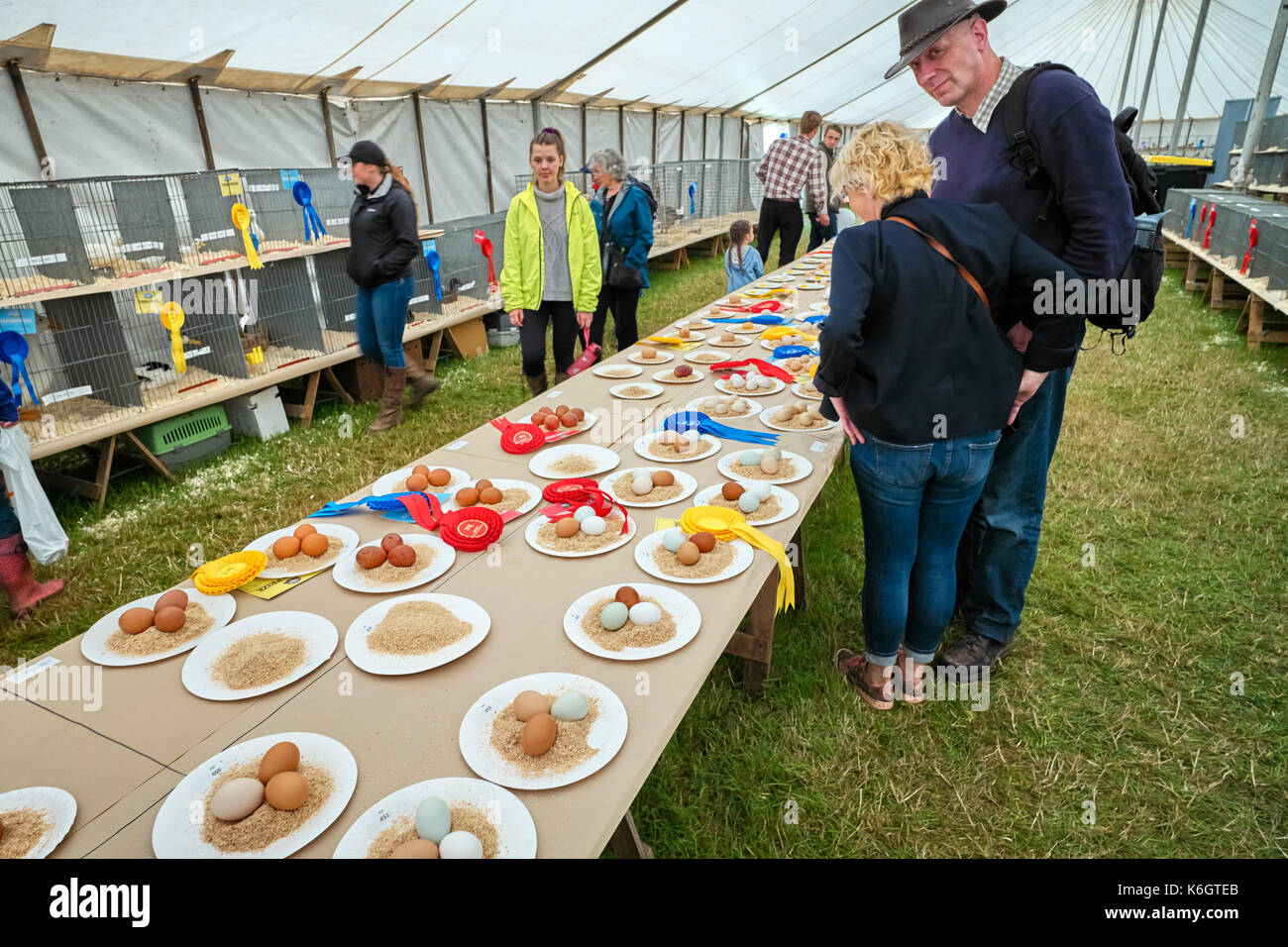 People looking at hens eggs at the Nantwich agricultural show Stock Photo
