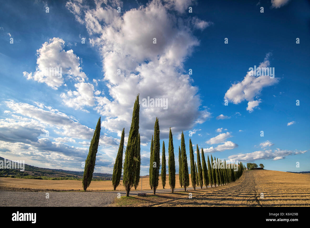 Blue sky and fluffy white clouds at Poggio Covili near Bagno Vignoni in Tuscany Italy, Europe Stock Photo