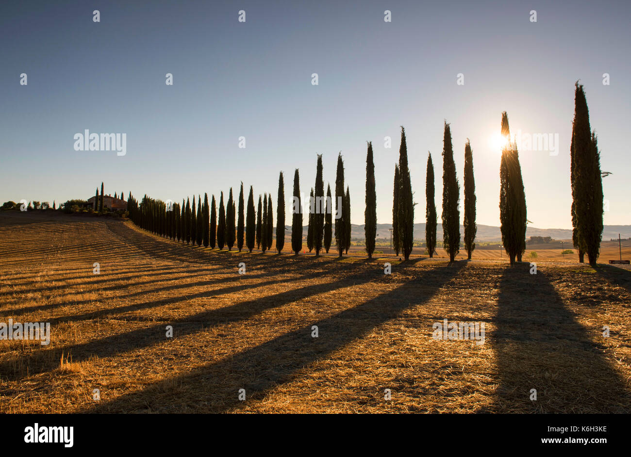 Early morning light and shadows at Poggio Covili near Bagno Vignoni in Val  d'Orcia, Tuscany Italy Europe Stock Photo - Alamy