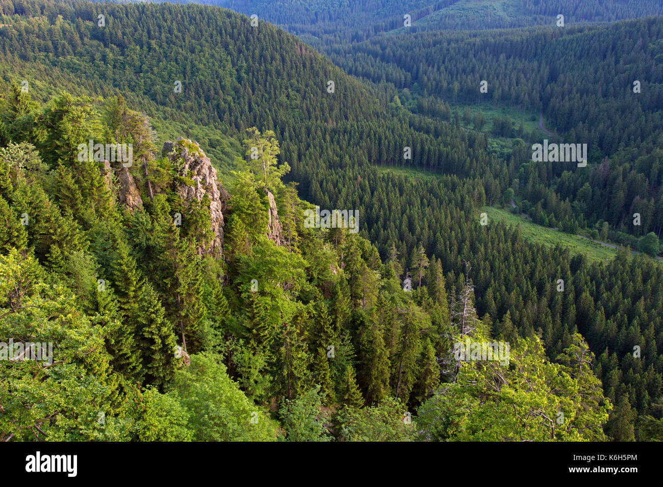 Hahnenkleeklippen / Hahnenklee Crags at Upper Harz / Oberharz in the Harz National Park, Lower Saxony, Germany Stock Photo