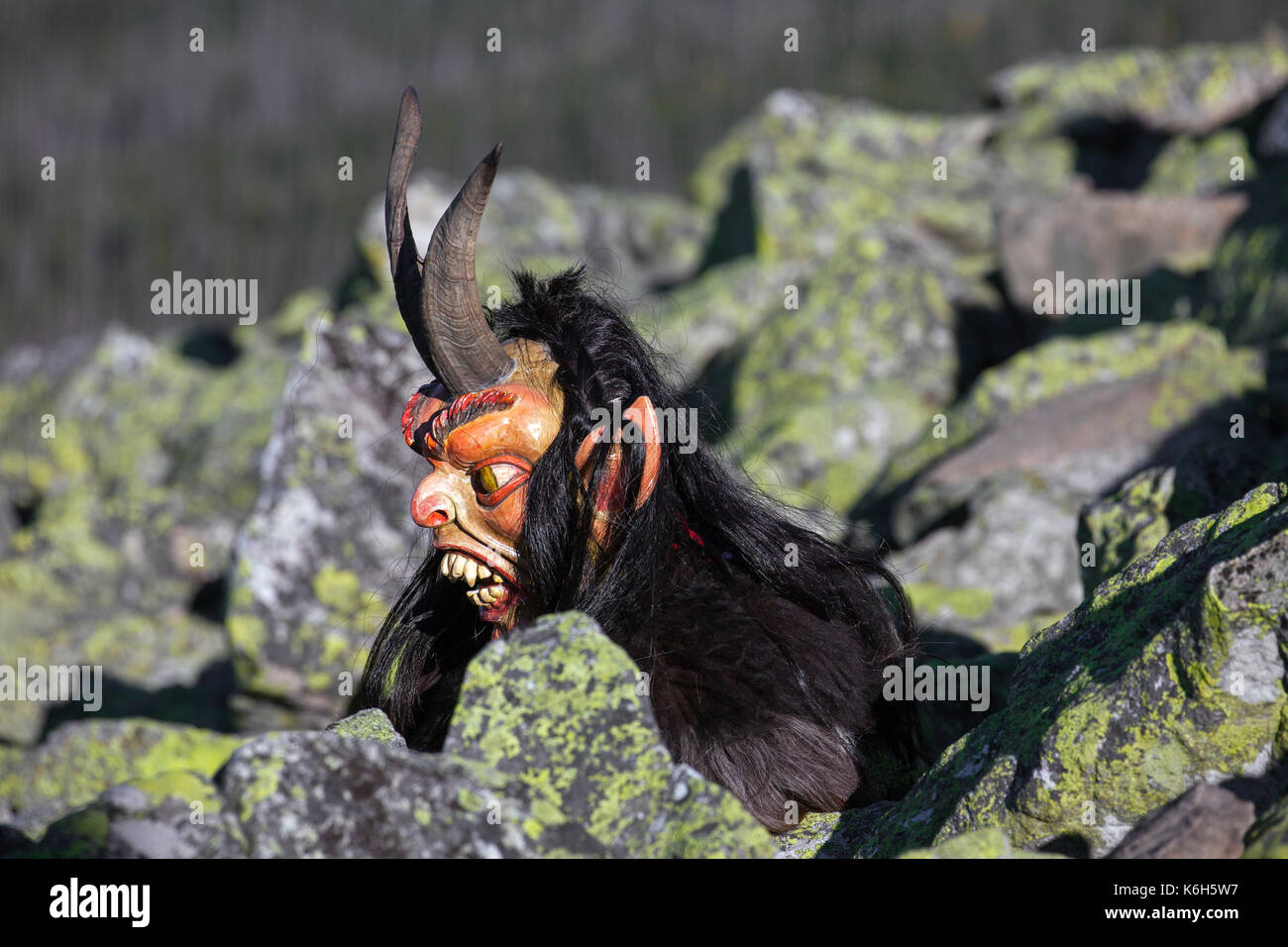 Scary wooden devil figure on the summit of Mount Lusen in autumn, Bavarian Forest National Park, Bavaria, Germany Stock Photo