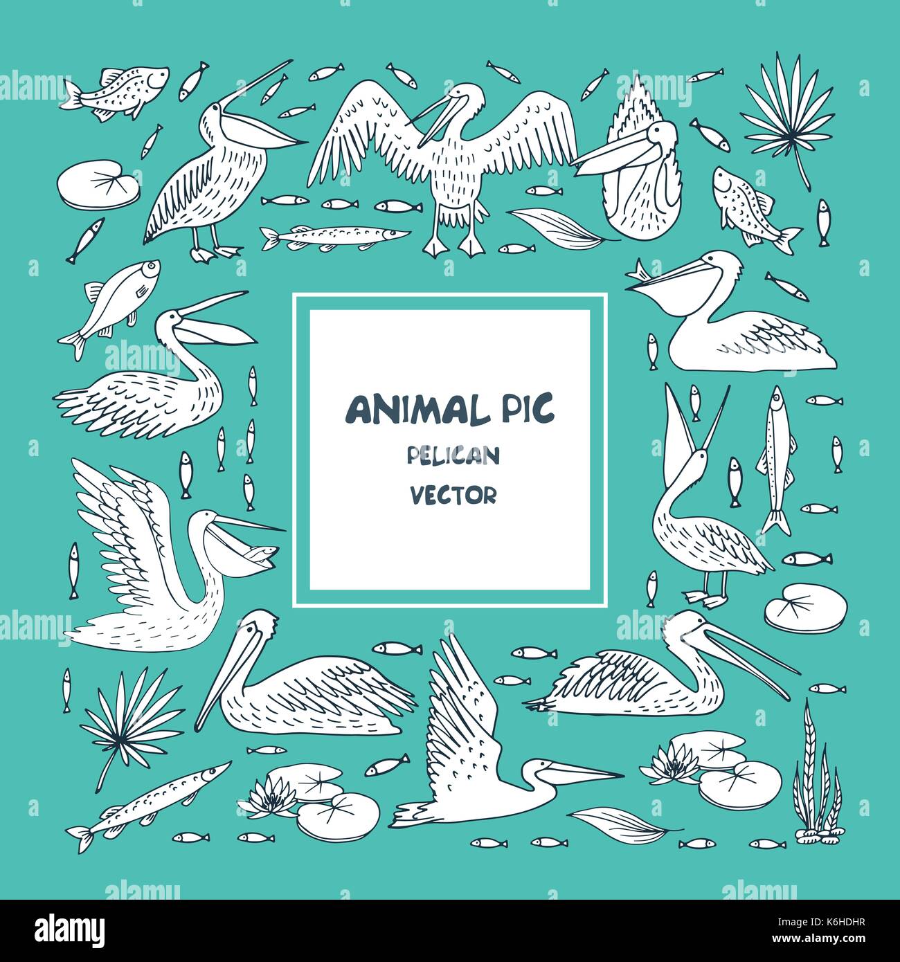 Birds pelicans and fish background Stock Vector