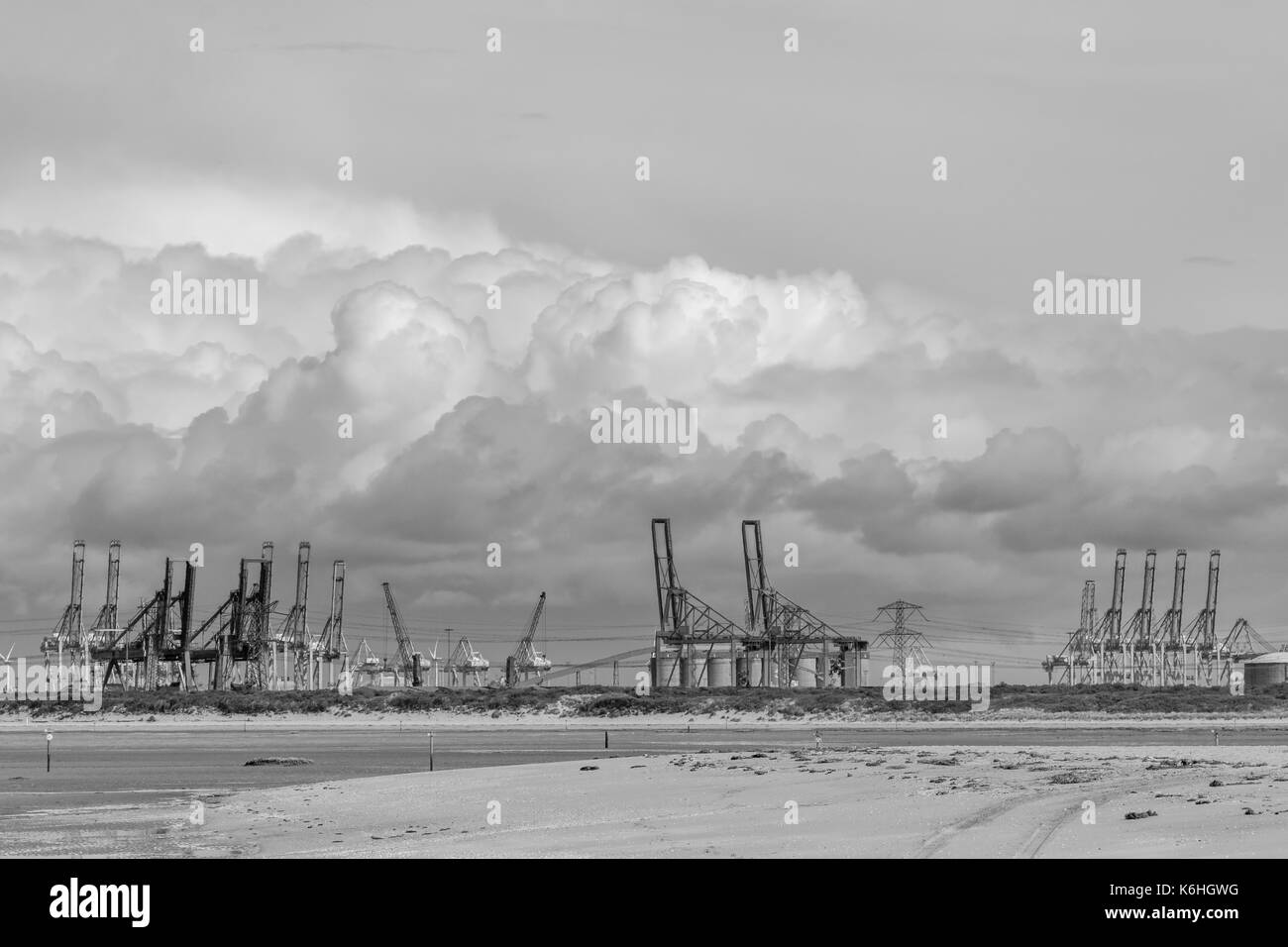 many cranes in black and white Stock Photo - Alamy