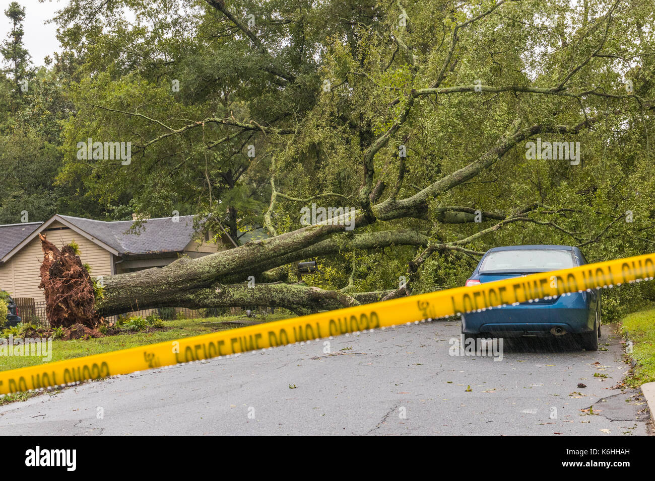 Horizontal photo of fallen tree in a street with caution tape up after Tropical Storm Irma Stock Photo