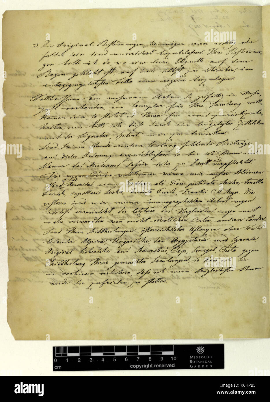 Correspondence   Fenzl (Eduard) and Engelmann (George) (Jun 24, 1846 (1) verso) BHL43373520 Stock Photo