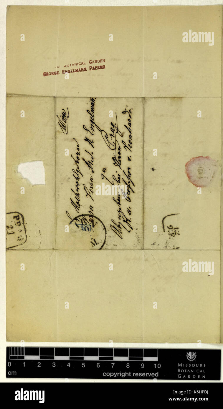 Correspondence   Fenzl (Eduard) and Engelmann (George) (Dec 20, 1857 (2) verso) BHL43373532 Stock Photo
