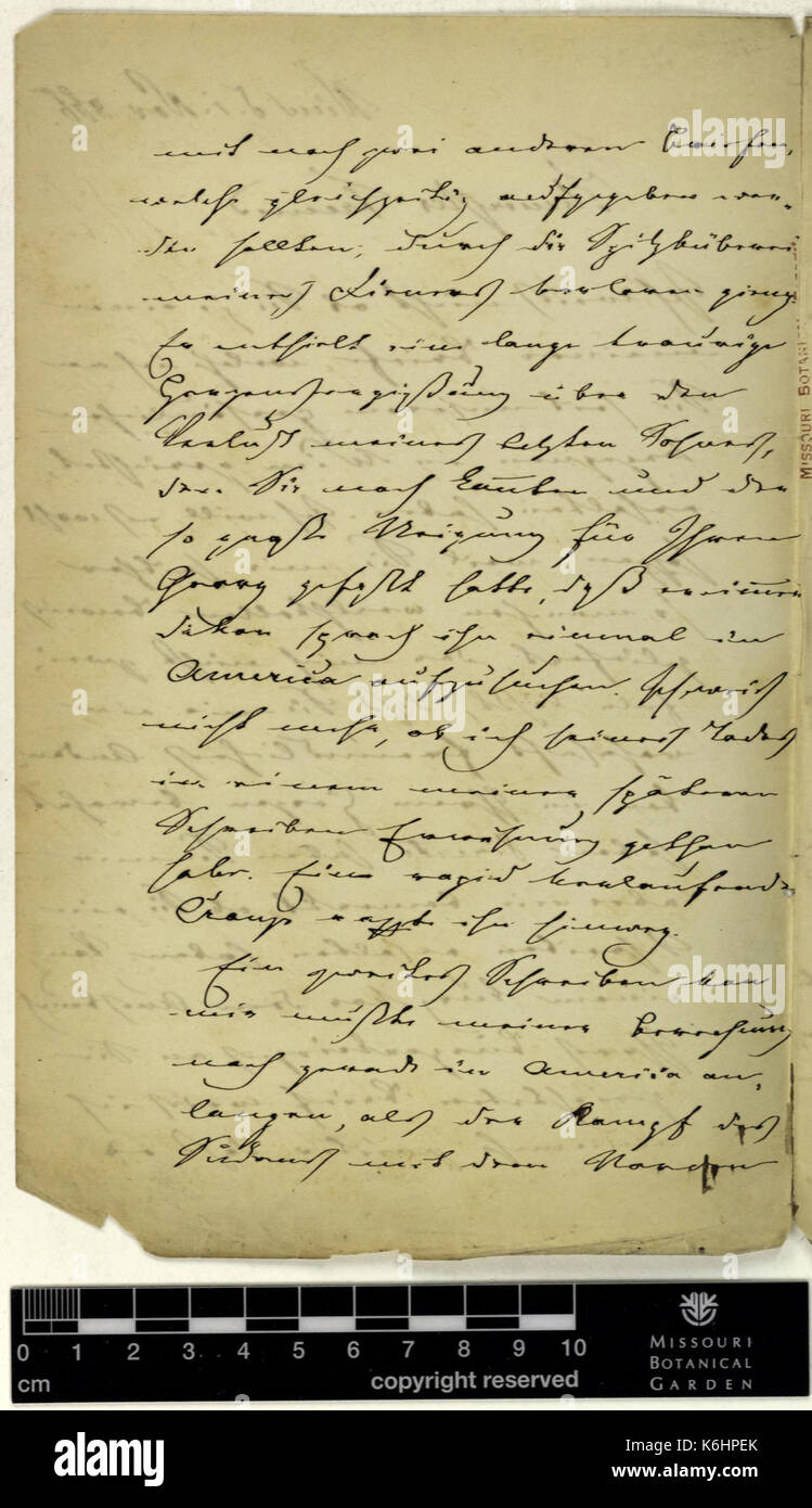 Correspondence   Fenzl (Eduard) and Engelmann (George) (Nov 01, 1866 (1) verso) BHL43373540 Stock Photo