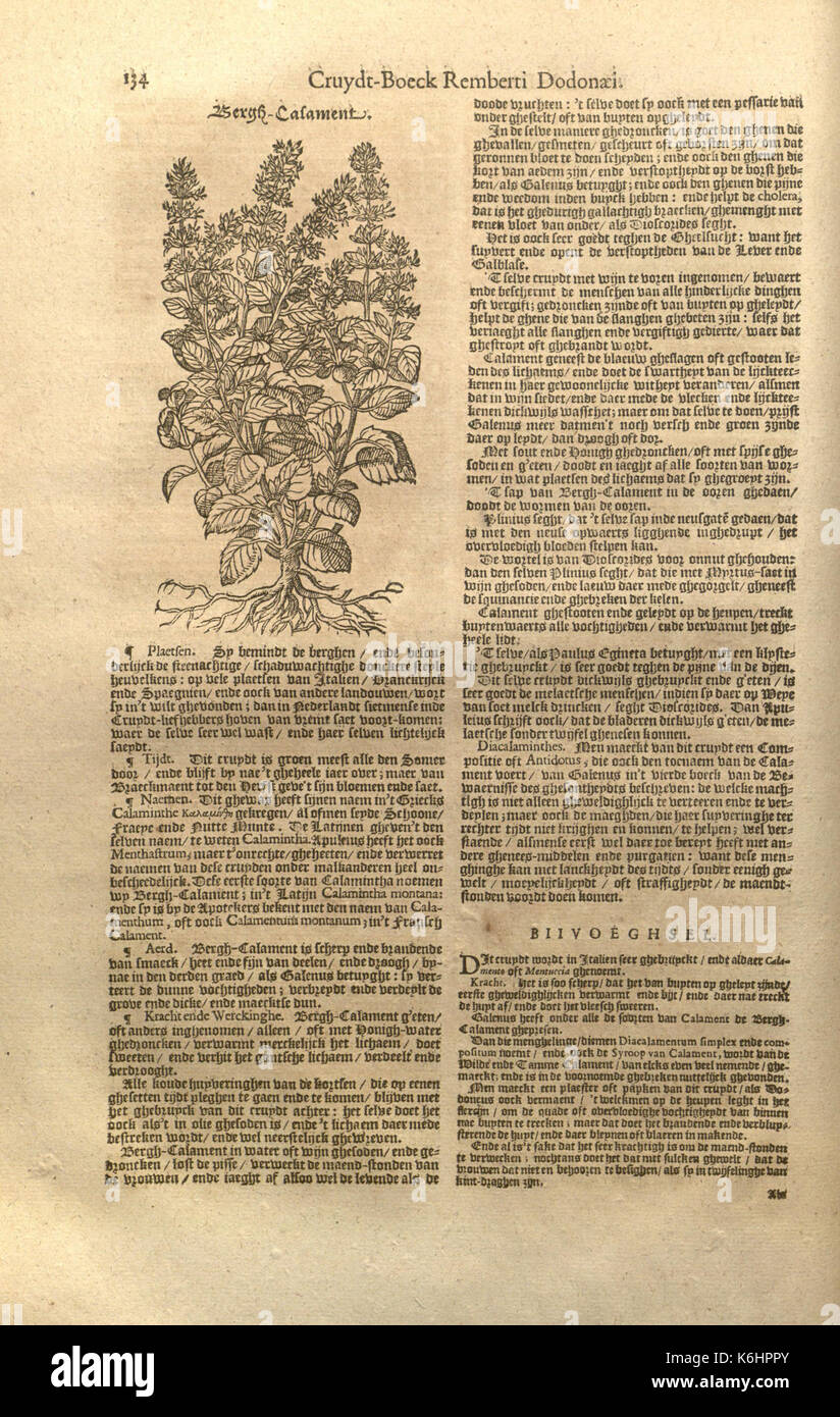 Cruydt boeck Remberti Dodonaei volghens sijne laetste verbeteringhe (Page 134) BHL7447580 Stock Photo