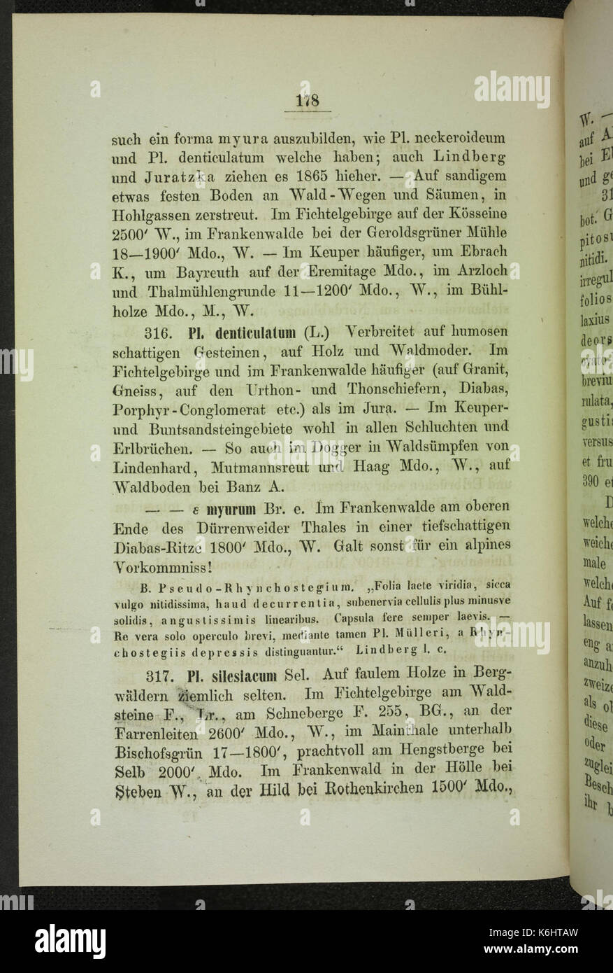 Die Laubmoose Oberfrankens (Page 178) BHL34596977 Stock Photo