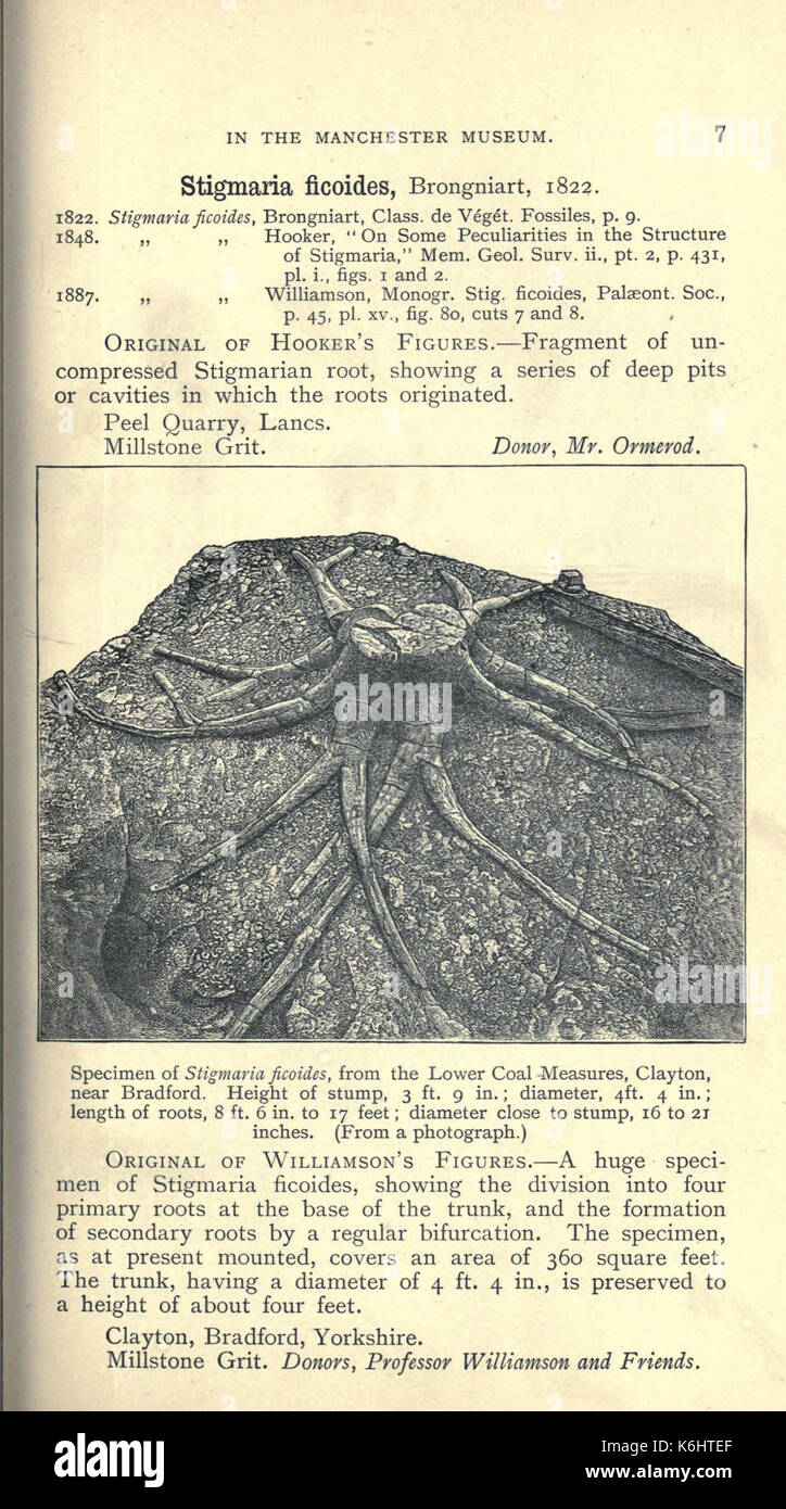 Catalogue of the types and figured specimens in the Geological