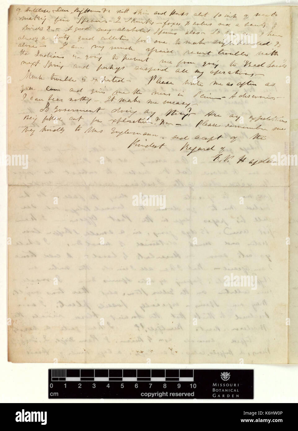 Correspondence   Hayden (Ferdinand) and Engelmann (George) (Nov 11, 1854 (2) verso) BHL43518728 Stock Photo