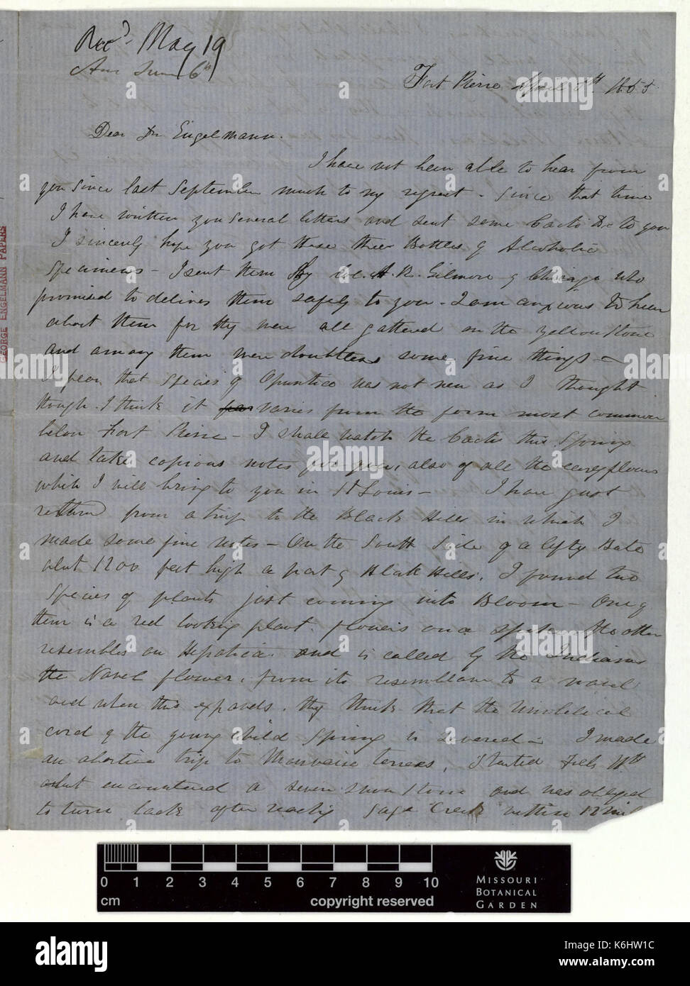 Correspondence   Hayden (Ferdinand) and Engelmann (George) (Apr 05, 1855 (1)) BHL43518733 Stock Photo