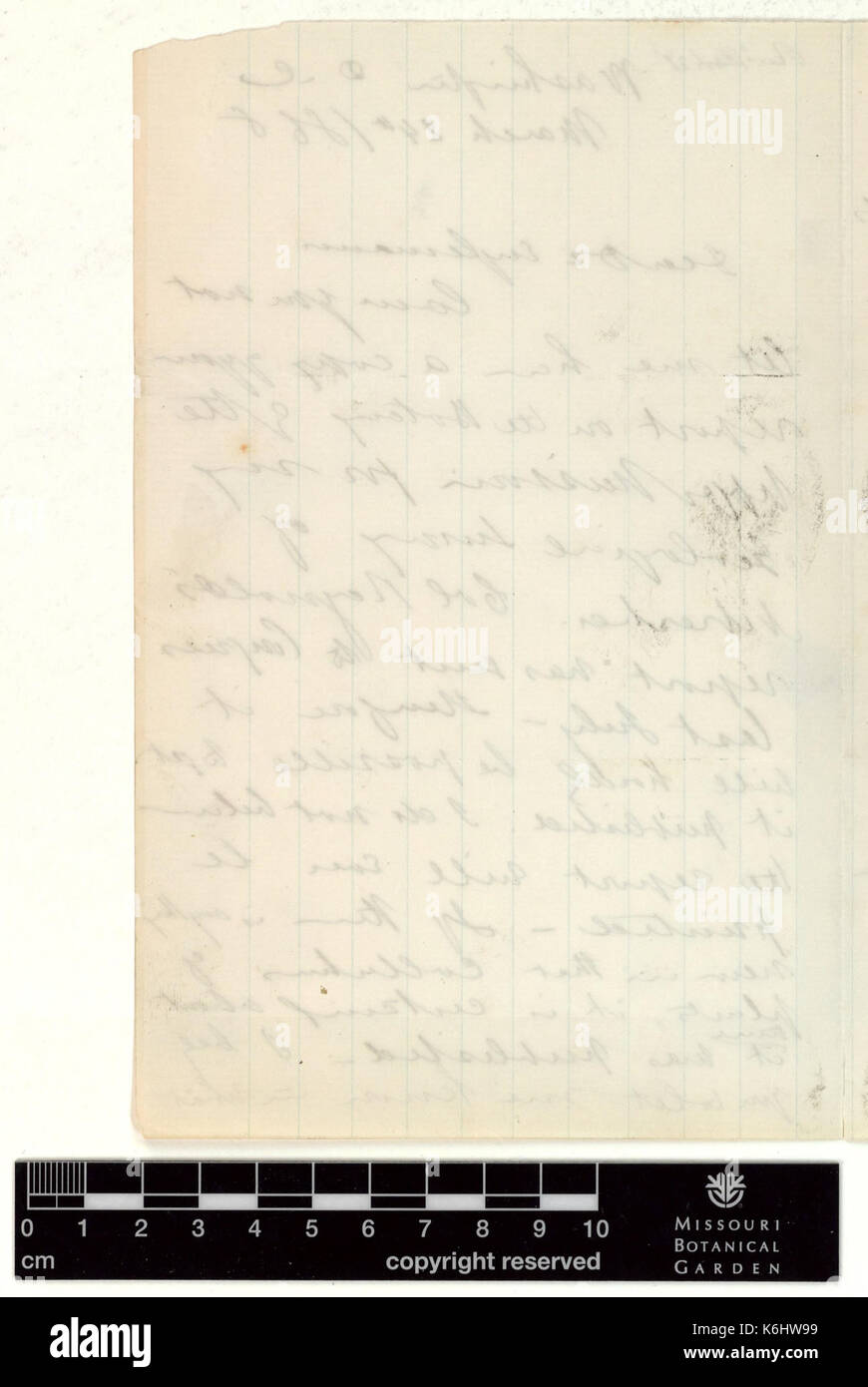 Correspondence   Hayden (Ferdinand) and Engelmann (George) (Mar 24, 1868 (2)) BHL43518835 Stock Photo