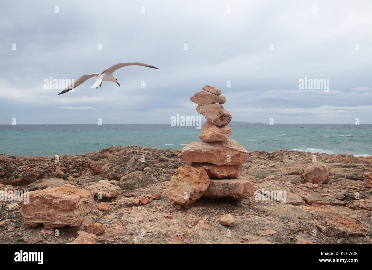 seagull landing on rocks mounds Stock Photo - Alamy