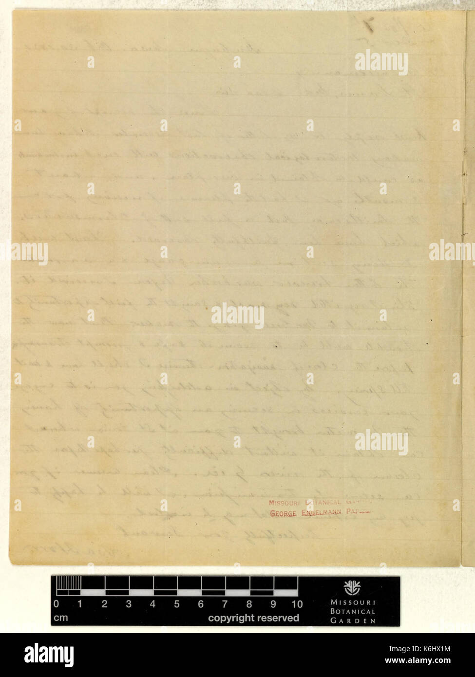 Correspondence   Horr (Asa) and Engelmann (George) (Oct 30, 1851 (1) verso) BHL43535138 Stock Photo
