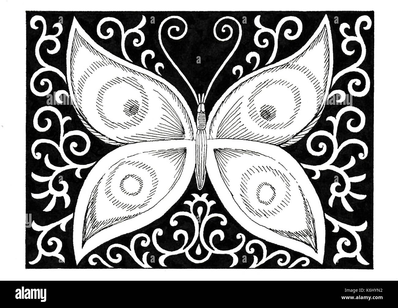 White butterfly Stock Vector