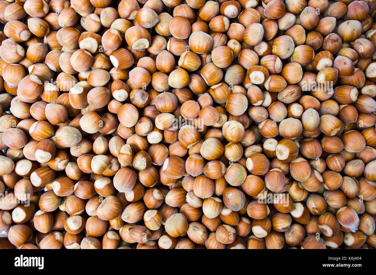 Bunch of fresh hazelnuts forming a background Stock Photo