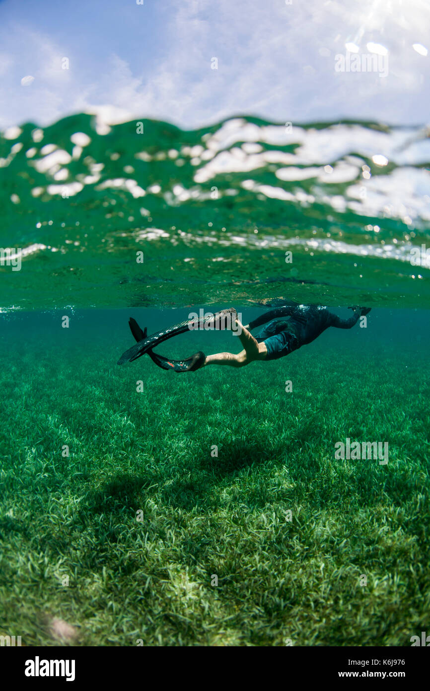 Snorkeler swimming over turtlegrass underwater off coast of Roatan Island reef, Honduras Stock Photo