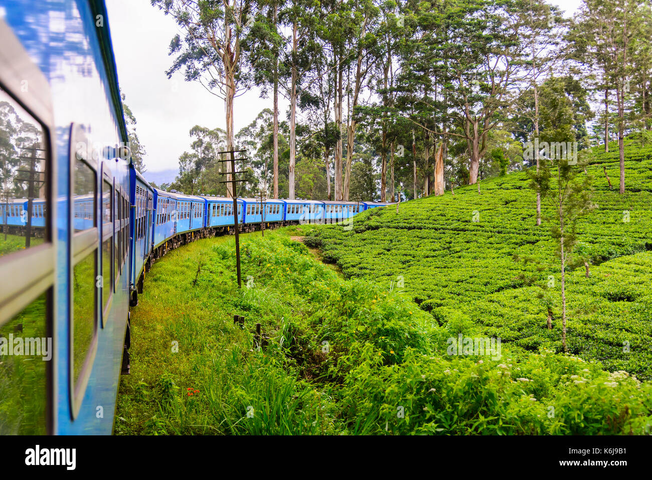 A train goes through tea plantation in Nuwara Eliya district, Sri Lanka. Tea production is one of the main sources of foreign exchange for Sri Lanka Stock Photo