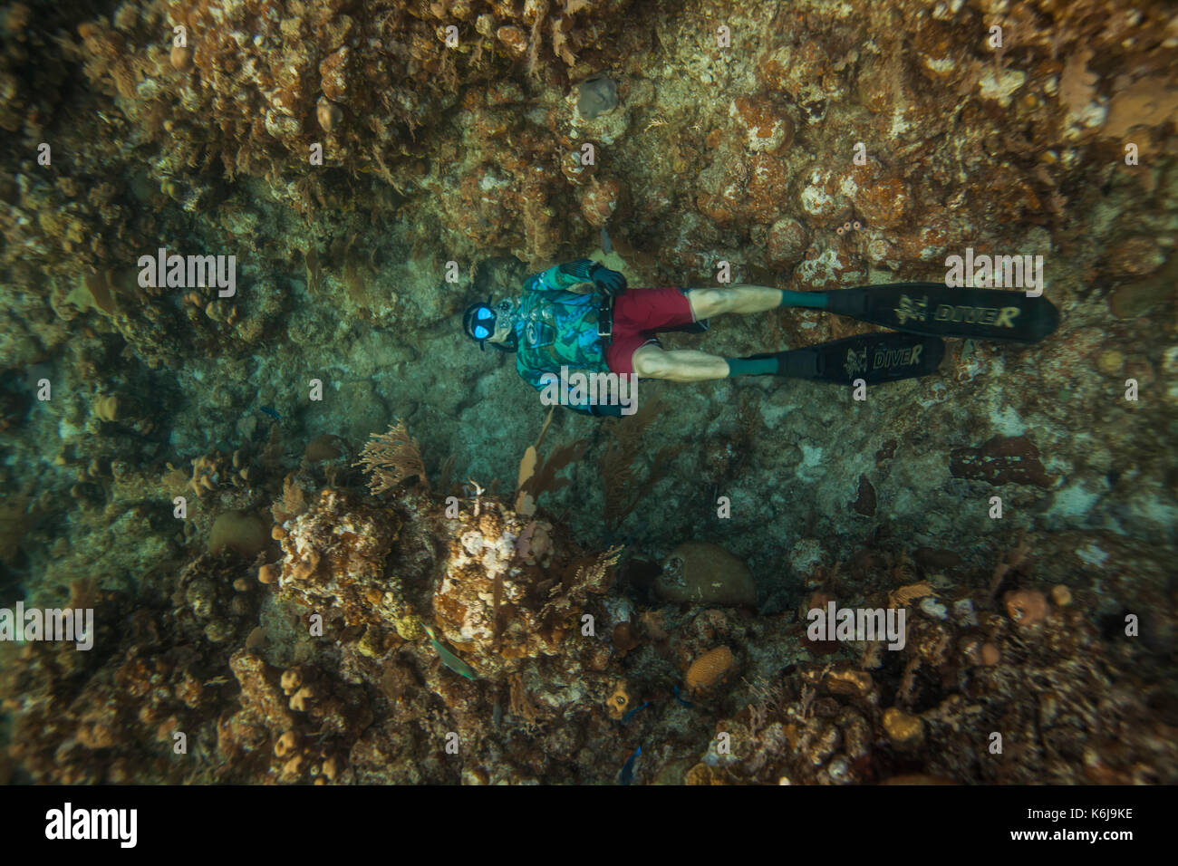 Bruce M. snorkels in-between reefs off Roatan Island, Honduras. Stock Photo
