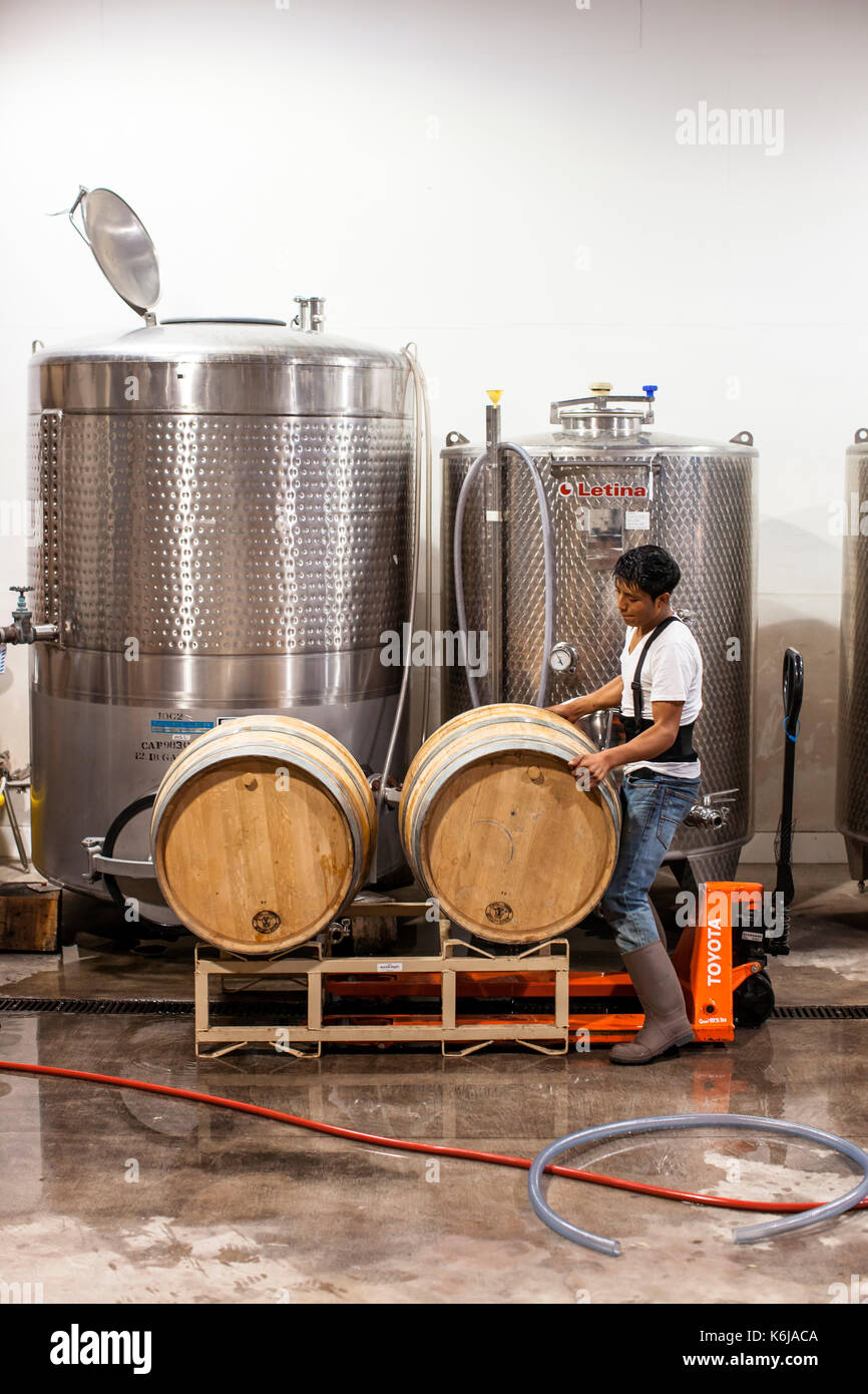 Worker checking wine casks for leaks at vineyard, Delaplane, Virginia, USA Stock Photo