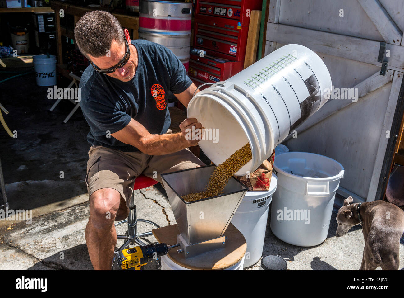 Man pouring beer ingredients into hopper, Bishop, California, USA Stock Photo