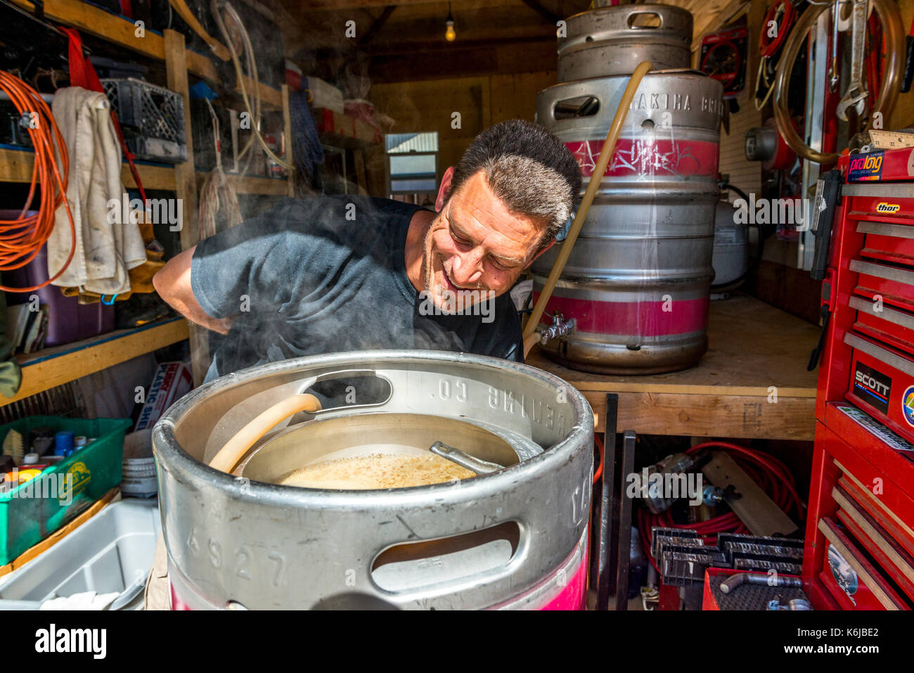 Man filling keg with home brew beer, Bishop, California, USA Stock Photo