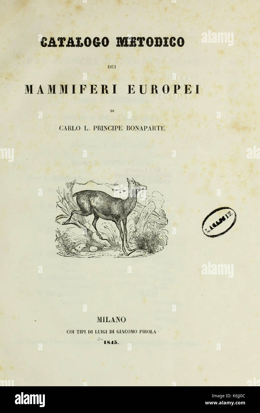 Catalogo metodico dei mammiferi europei BHL43573737 Stock Photo