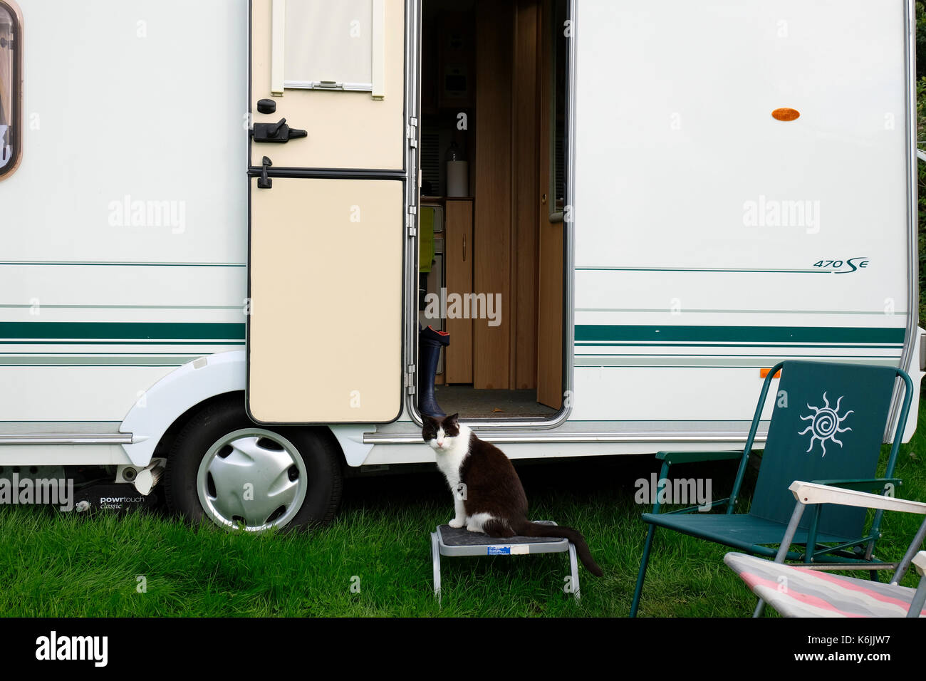 Black and White domestic cat sitting on step in front of caravan doorway on holiday in UK Stock Photo