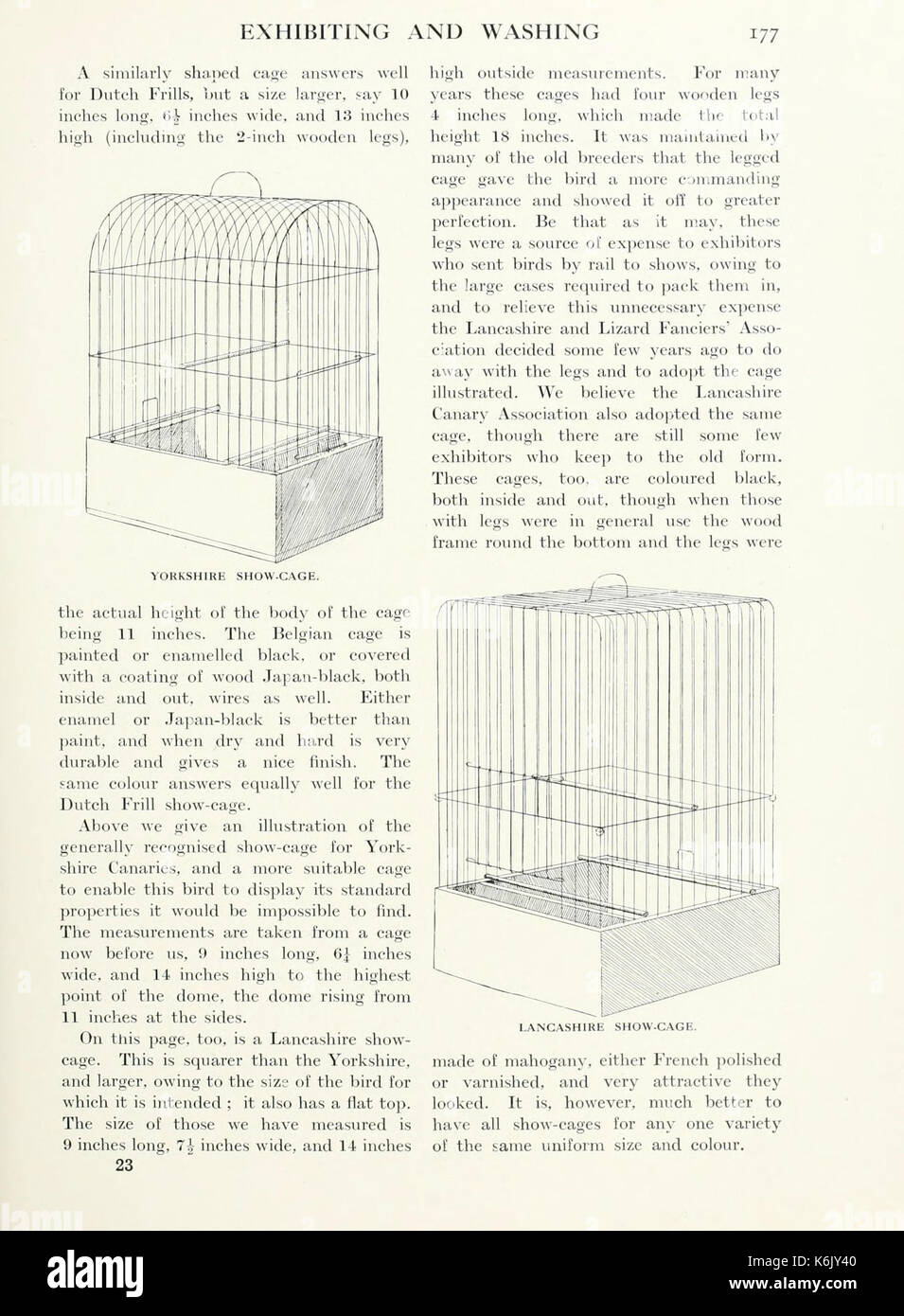 Canaries, hybrids, and British birds in cage and aviary (Page 177) BHL9371911 Stock Photo