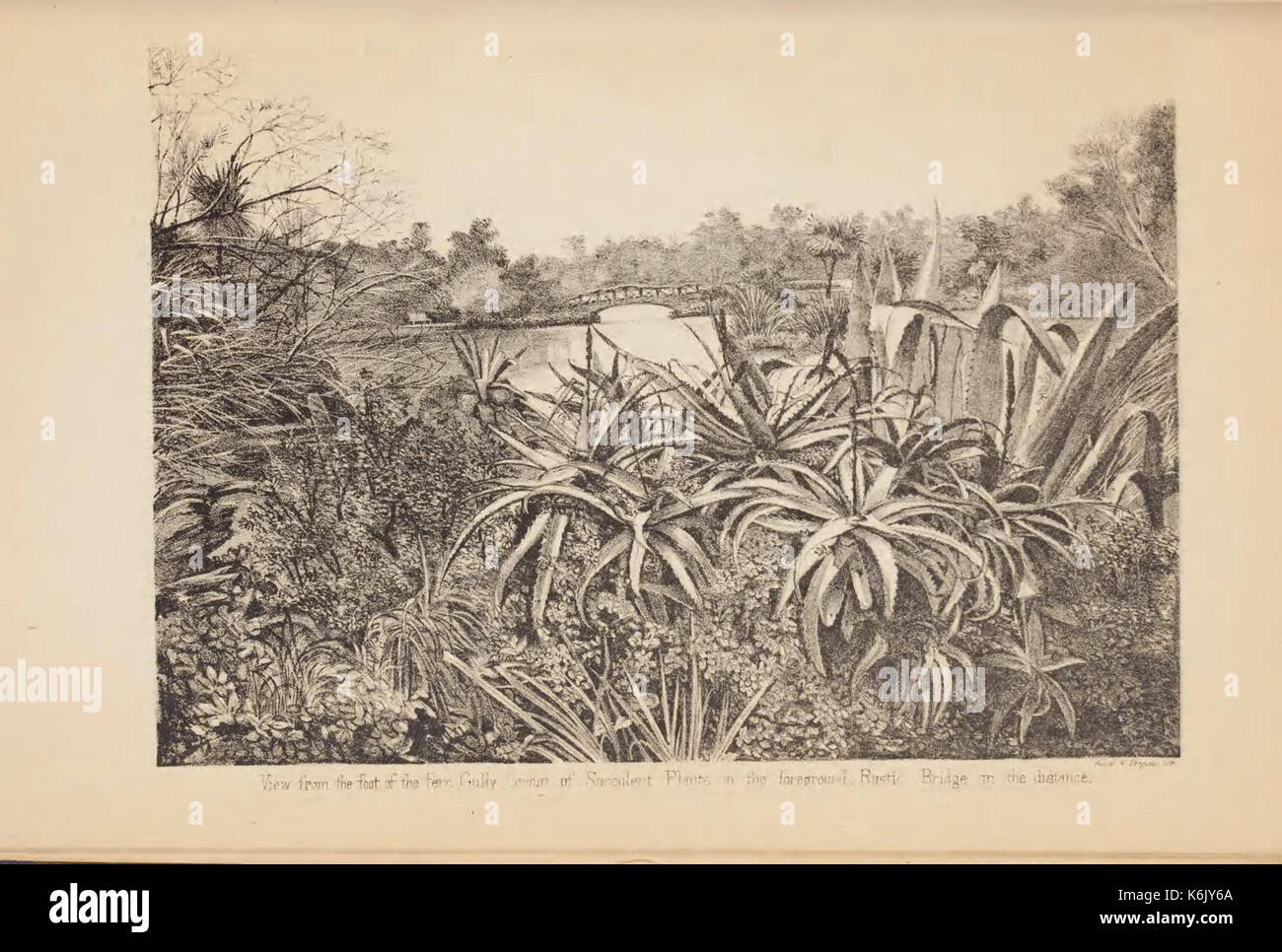 Catalogue of plants under cultivation in the Melbourne Botanic gardens