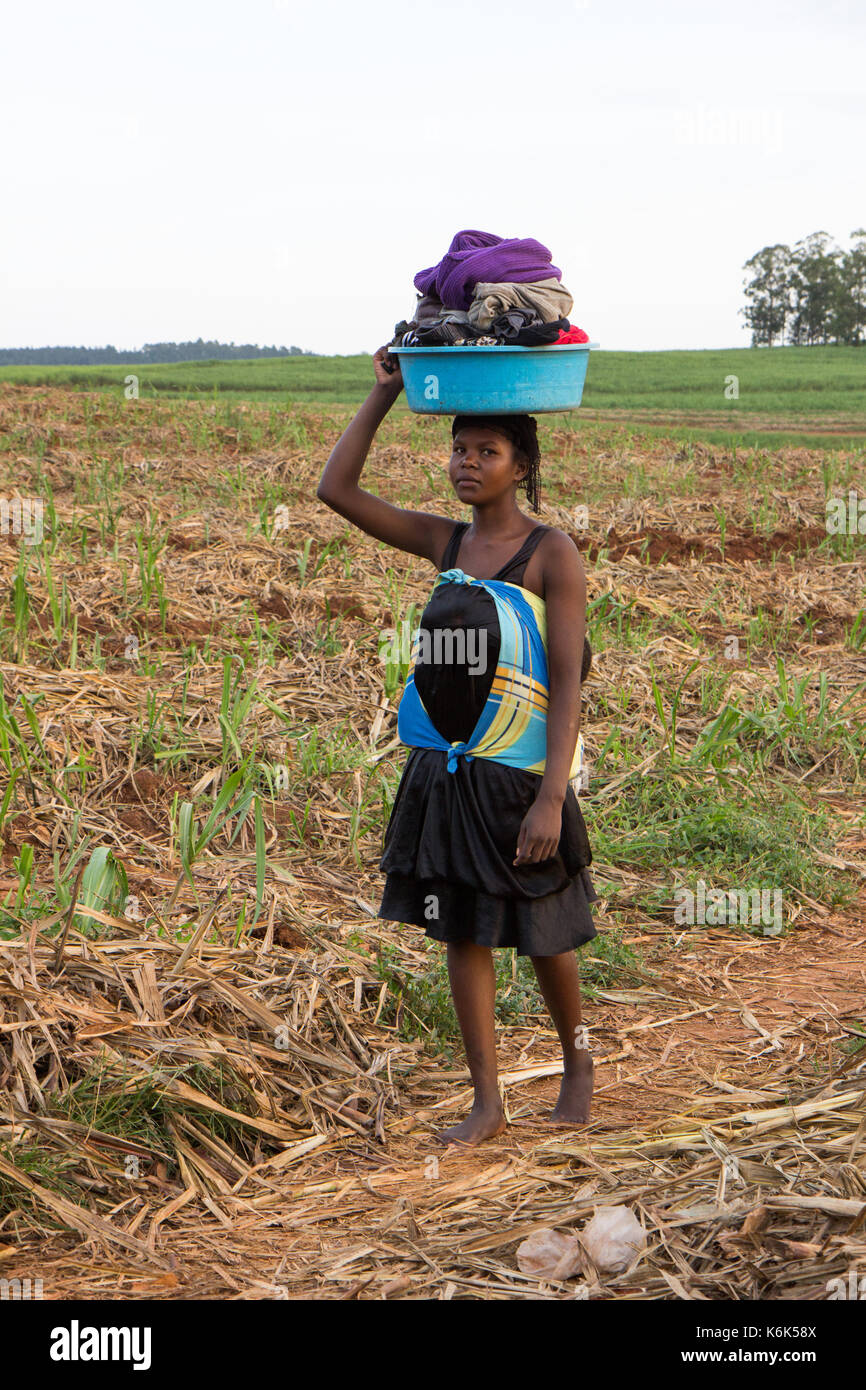 A young African woman carrying a wash basin full of laundry on her head through a field. Stock Photo