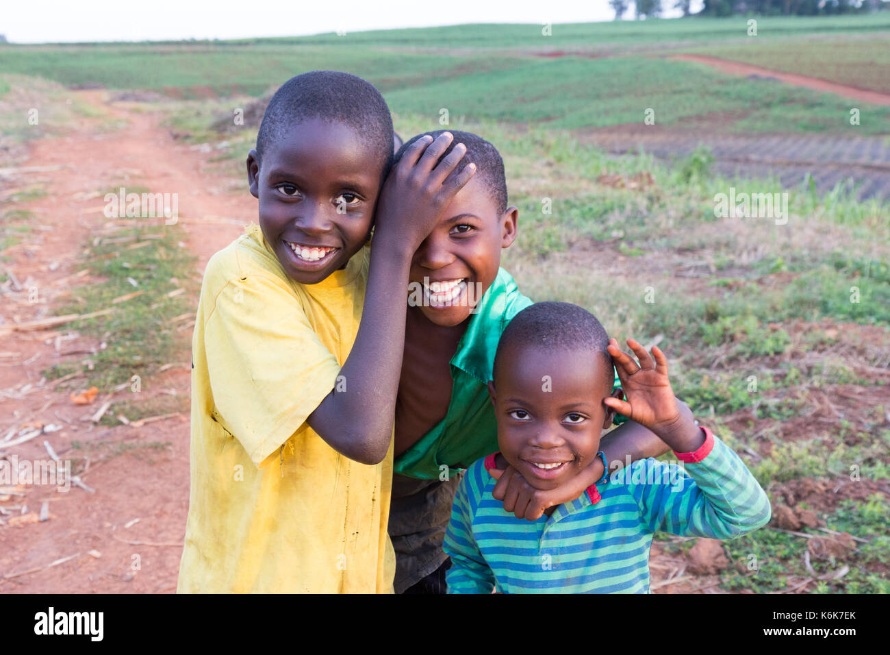 A bunch of African children in the middle of sugar cane fields. Stock Photo