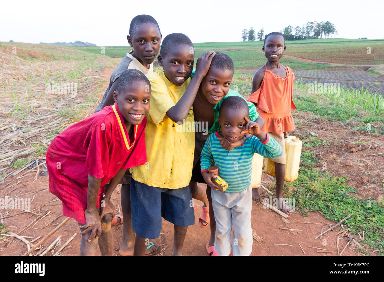 A bunch of African children in the middle of sugar cane fields. One of them is carrying two jerrycans full of water from a well. Stock Photo