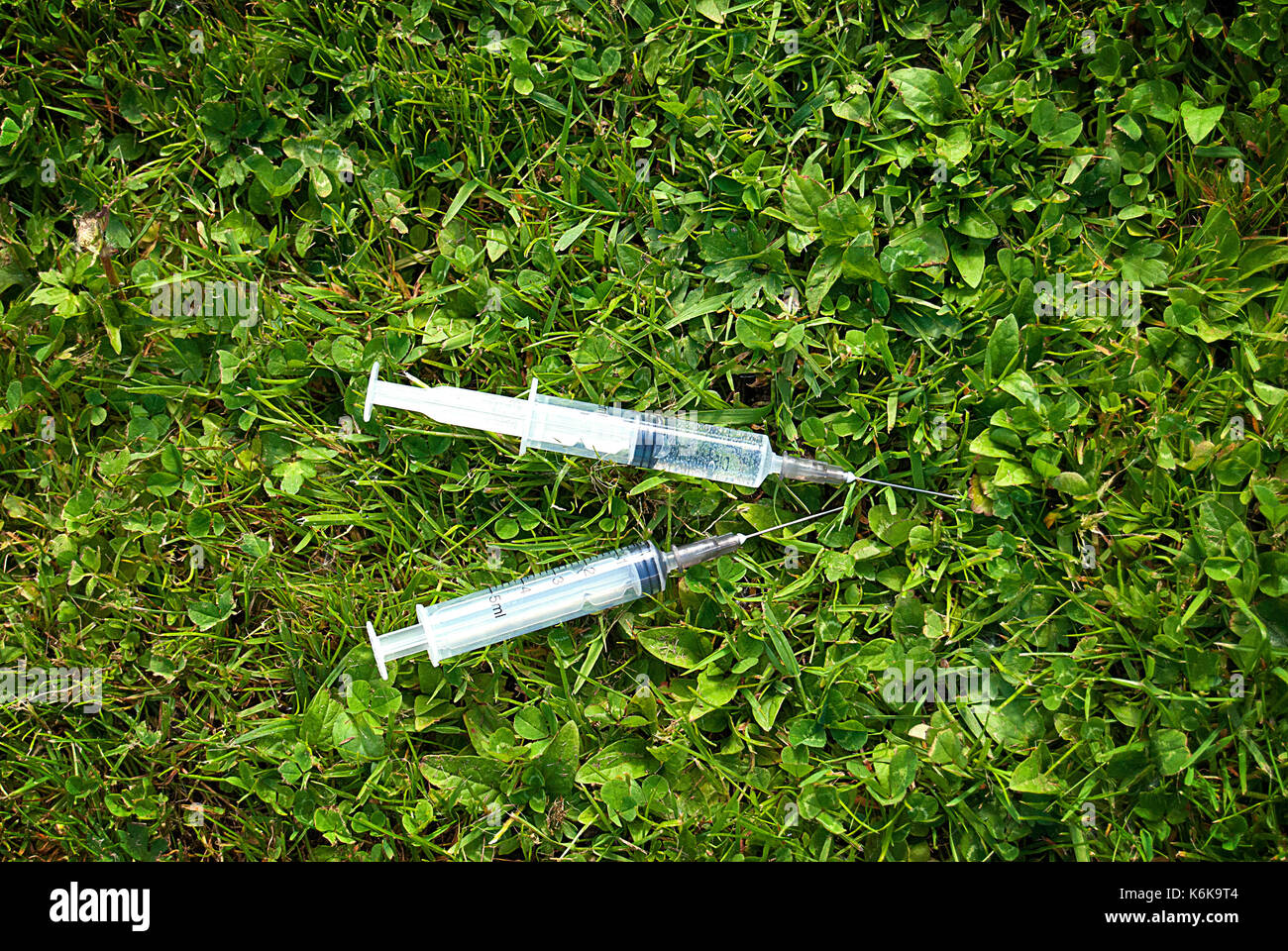 Syringe found in the grass Stock Photo