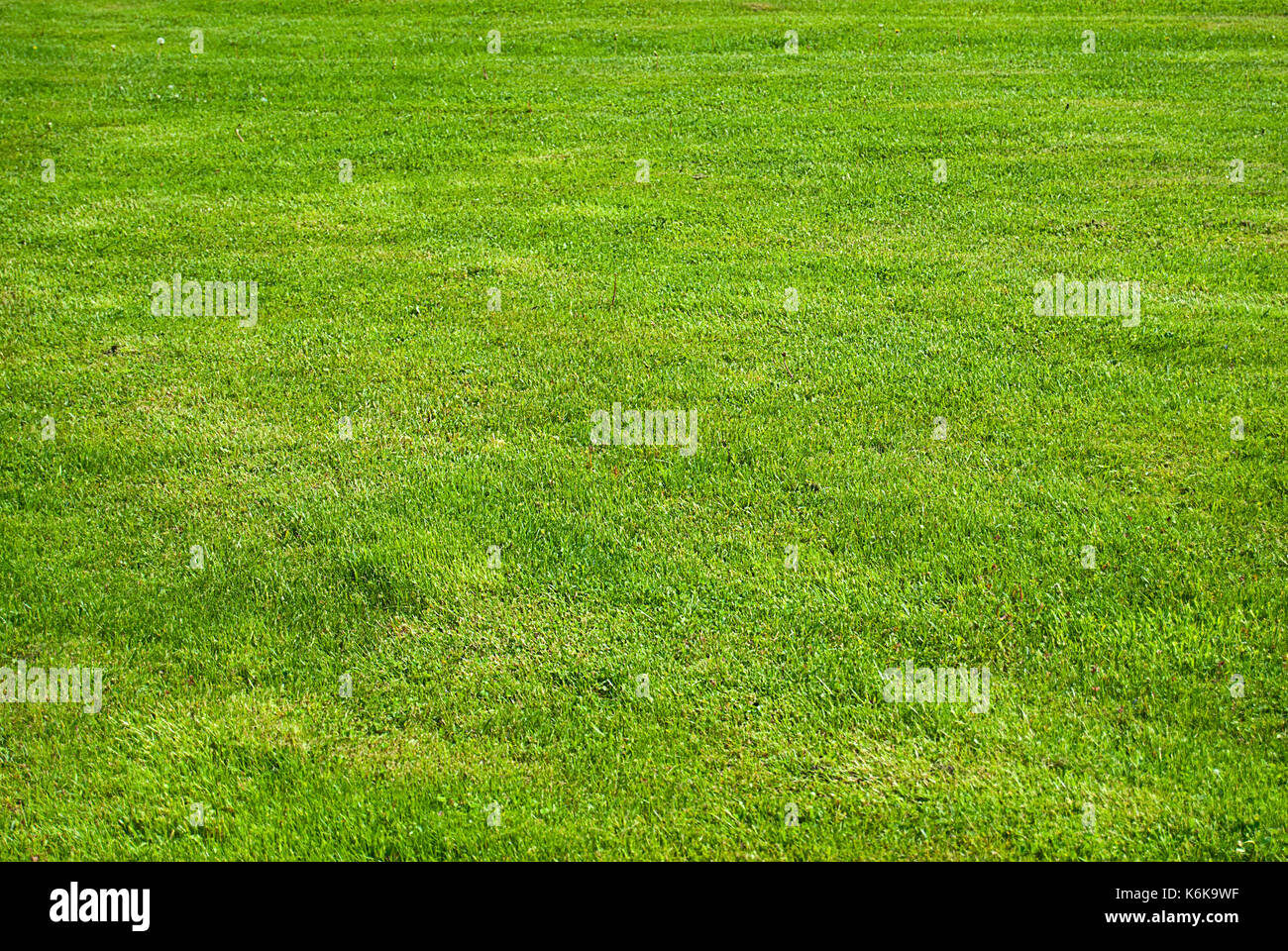 Artificial grass - Green grass background (texture Stock Photo - Alamy