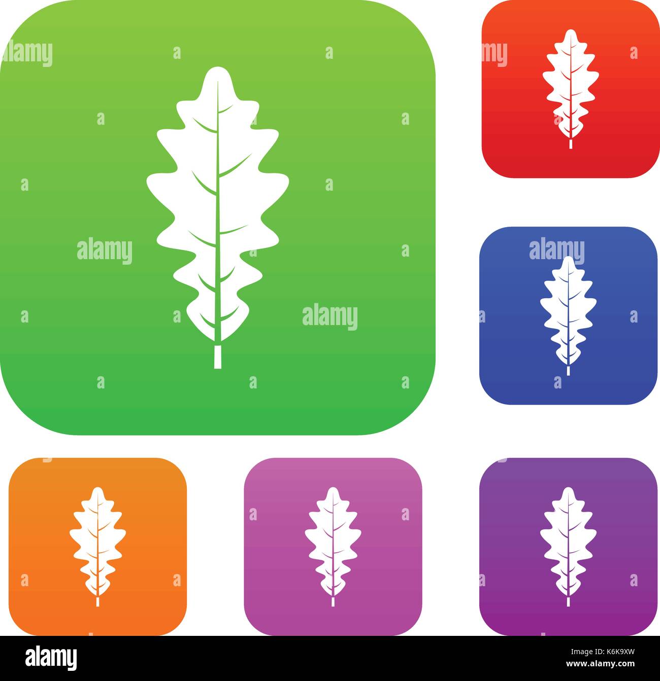 Oak leaf set color collection Stock Vector Image & Art - Alamy