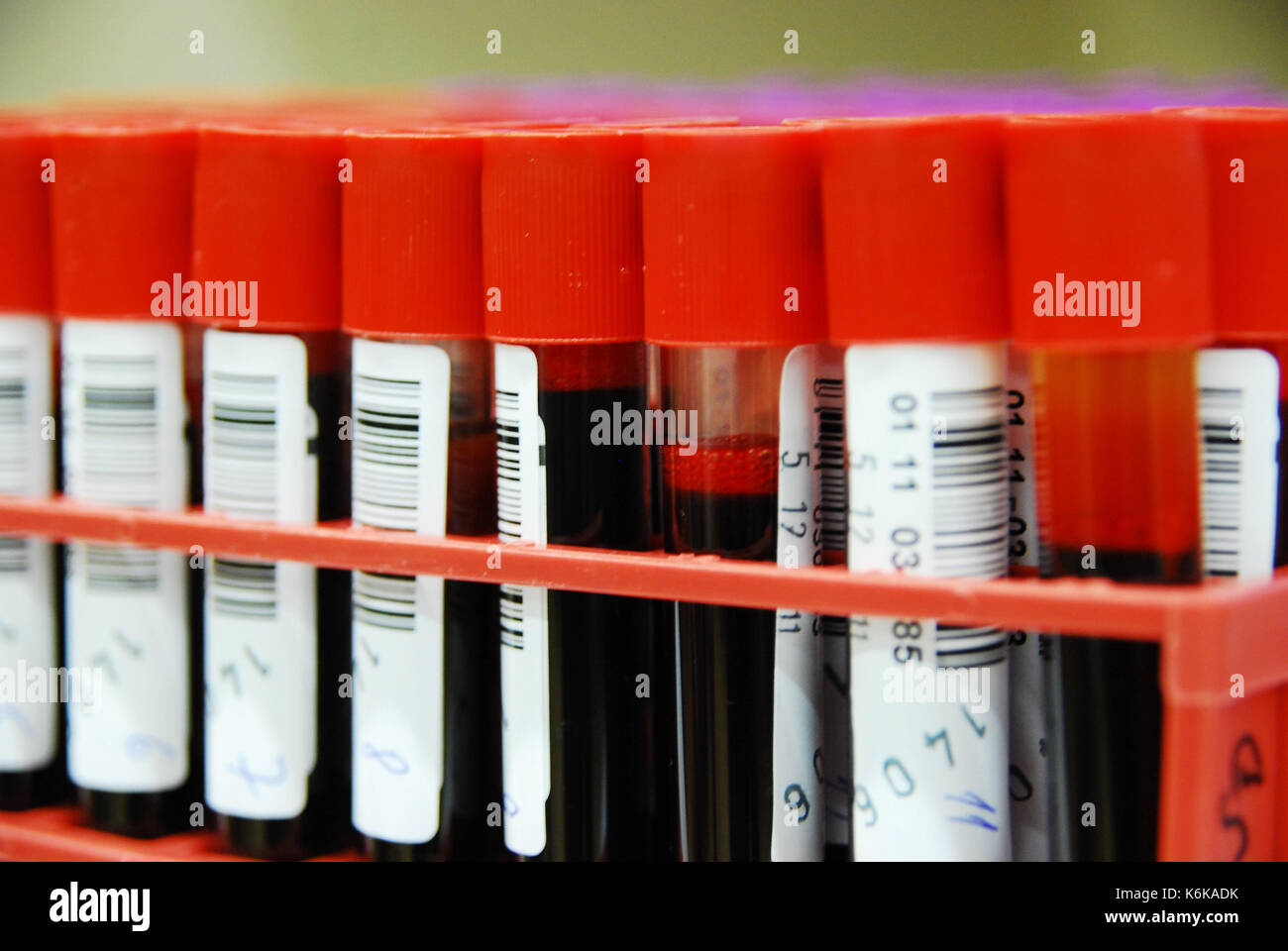 Blood samples in blood bank for blood donation Stock Photo