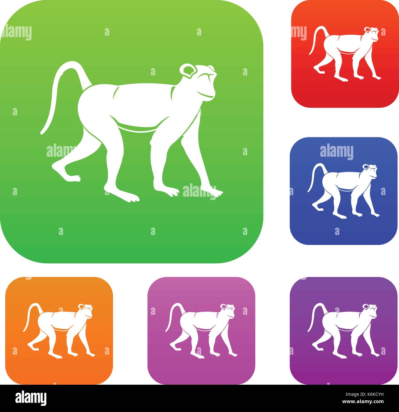 Red tail monkey Stock Vector Images - Alamy