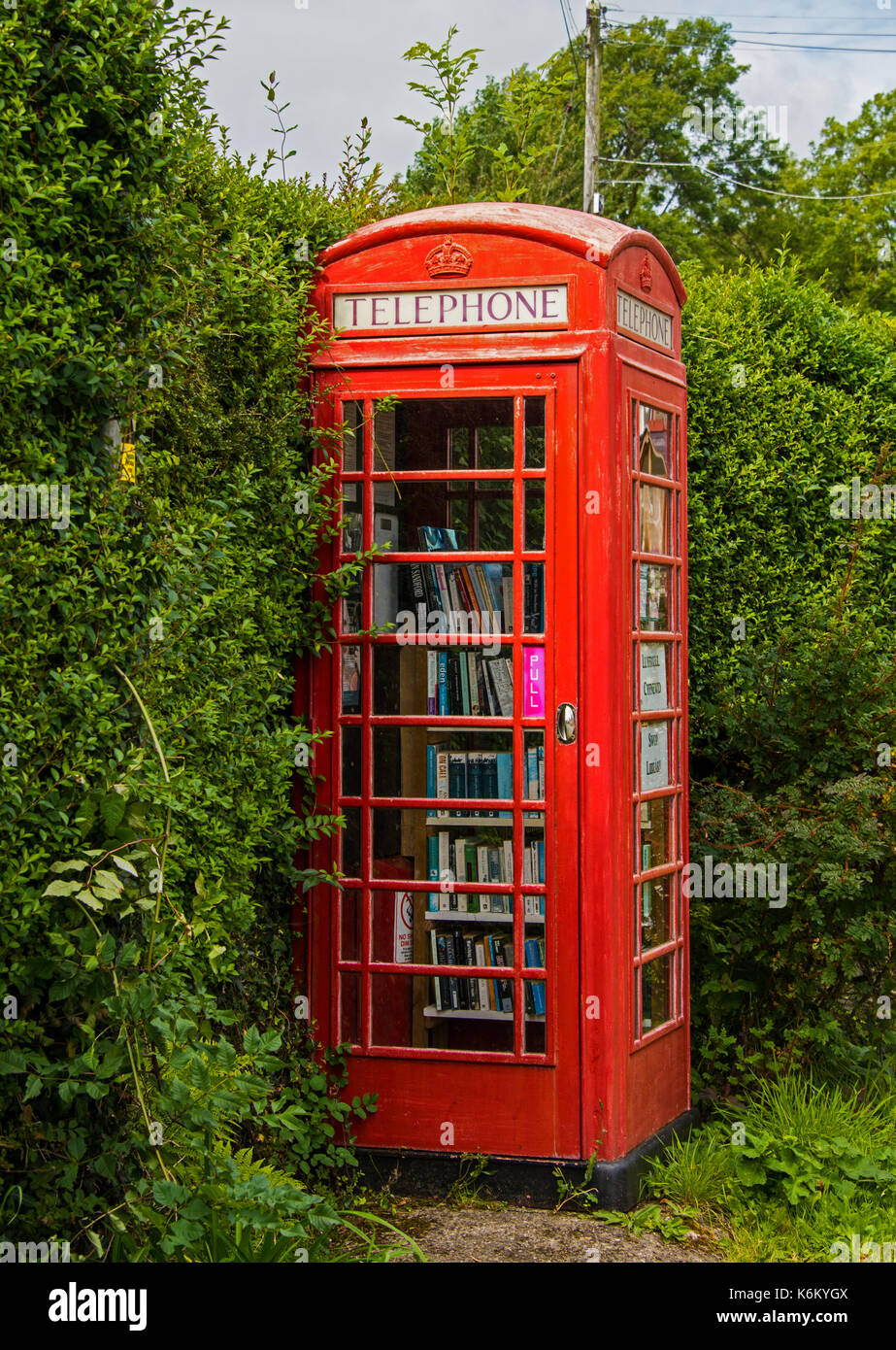 Library in an old telephone box. Stock Photo