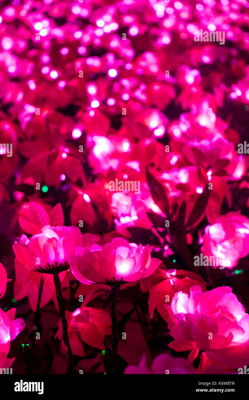 Illuminated purple flower closeup outdoors at night. The lighting decoration at the square, Bangkok, Thailand Stock Photo