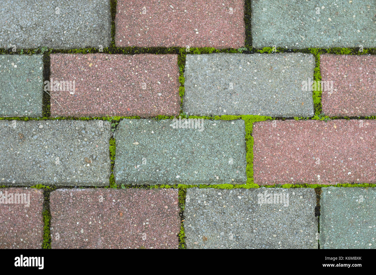 Old red and gray paving stones texture overgrown with green moss Stock Photo