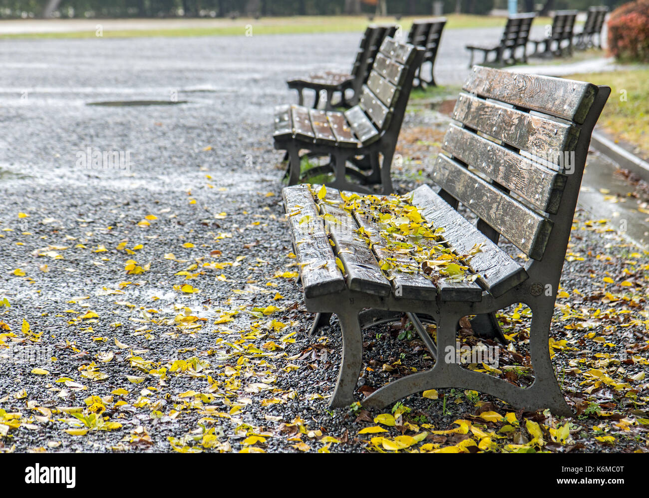 Empty park benches line hi-res stock photography and images - Alamy