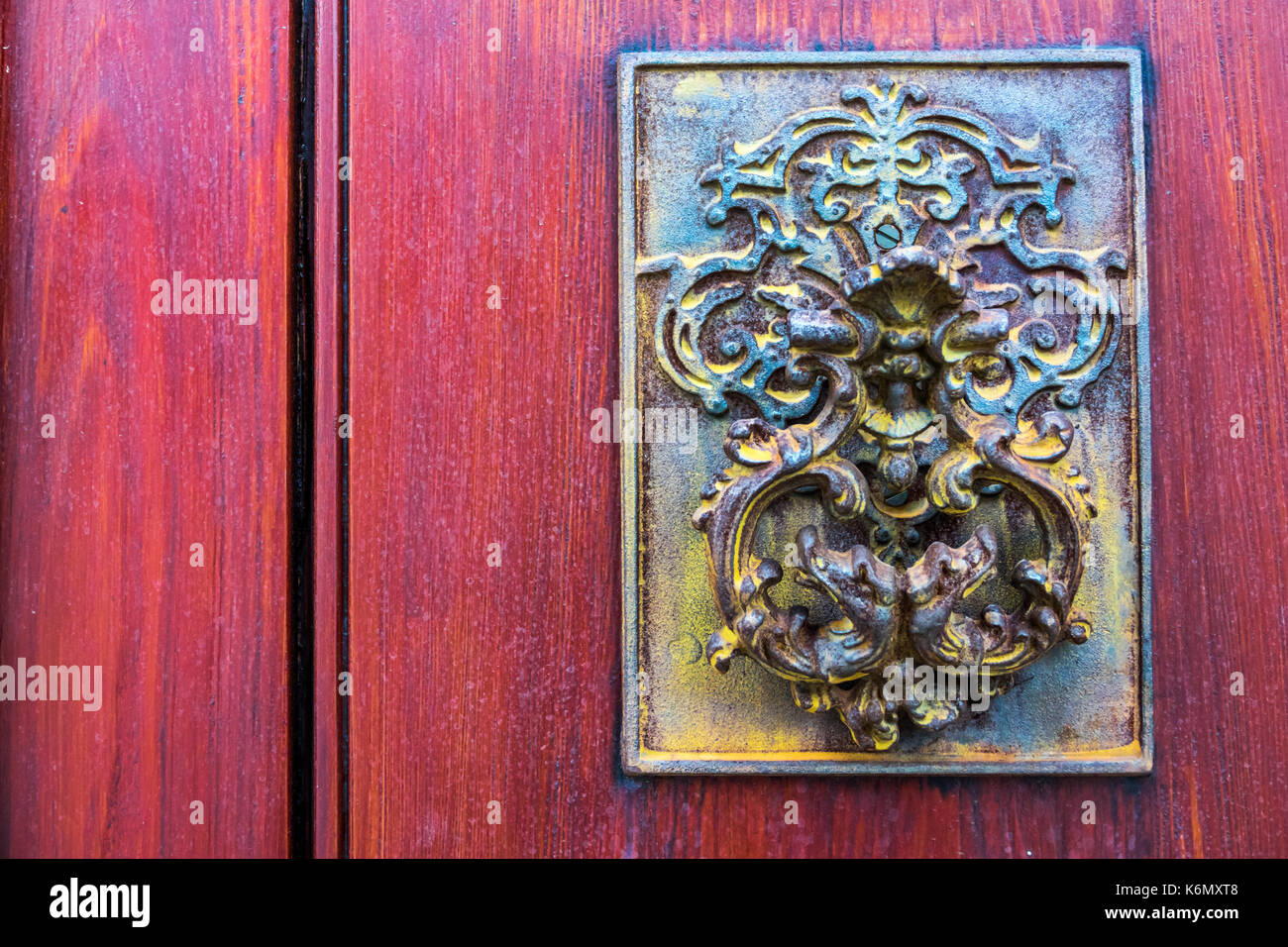 Charleston South Carolina,Chalmers Street,homes,historic Downtown,door