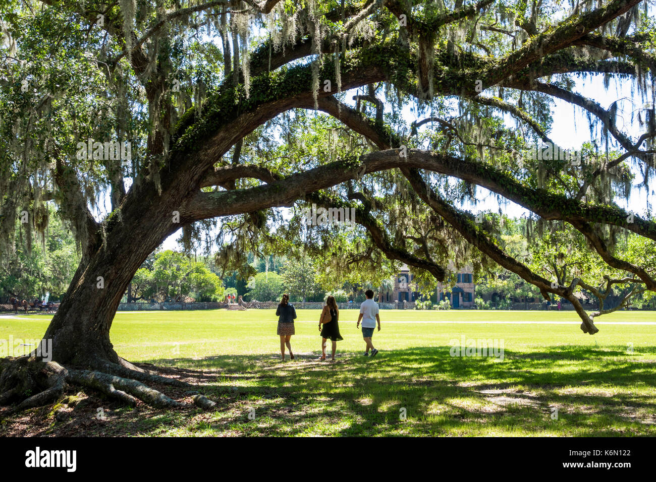 Charleston South Carolina,Middleton Place,Ashley River,rice plantation,antebellum,1730,garden,live oak,walking,exploring,teen teens teenager teenagers Stock Photo