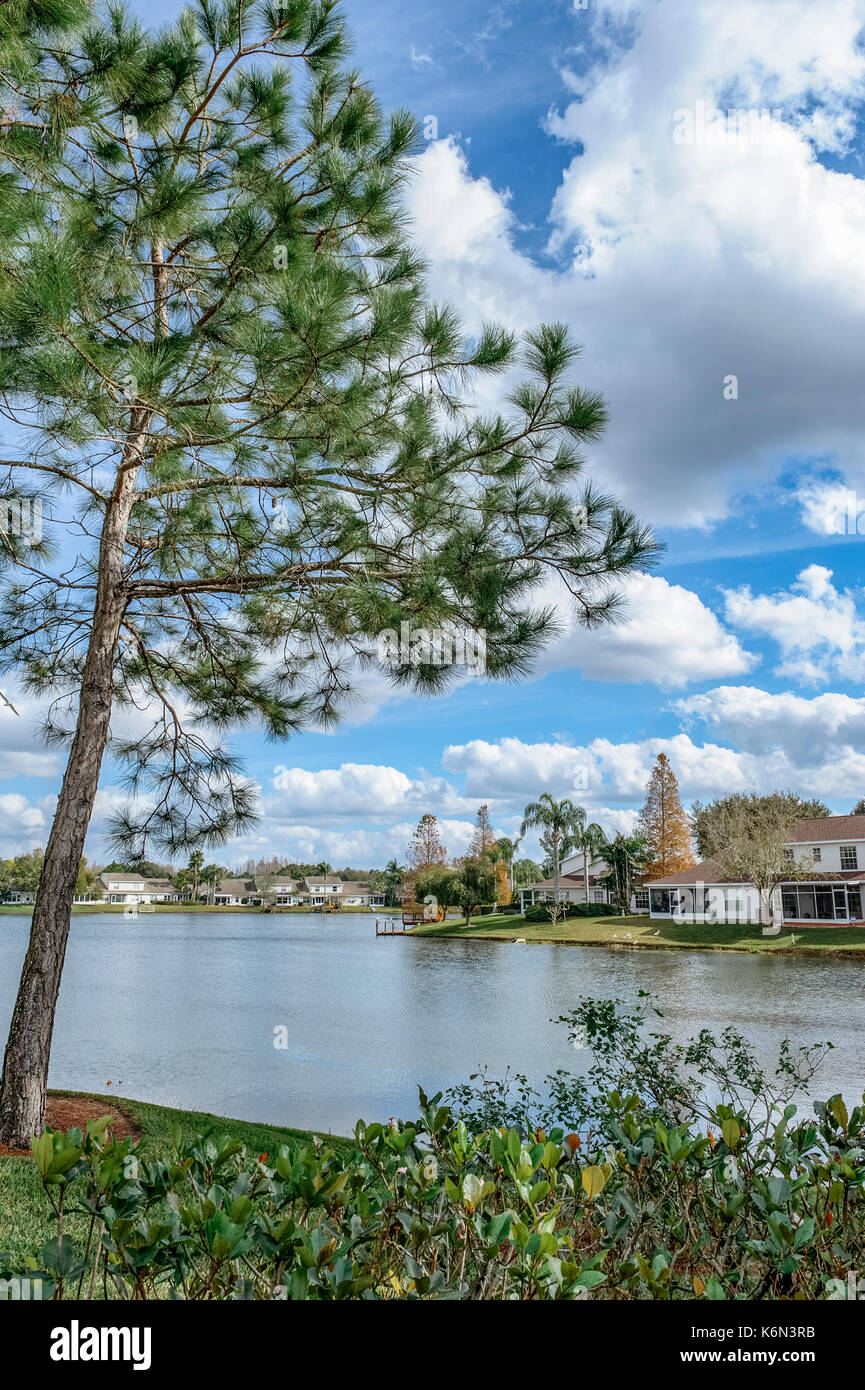 A view of Lake Heron subdivision, a suburb of Tampa, Florida, USA, comprised of many lakeside townhouses, typical of Florida lifestyle living. Stock Photo