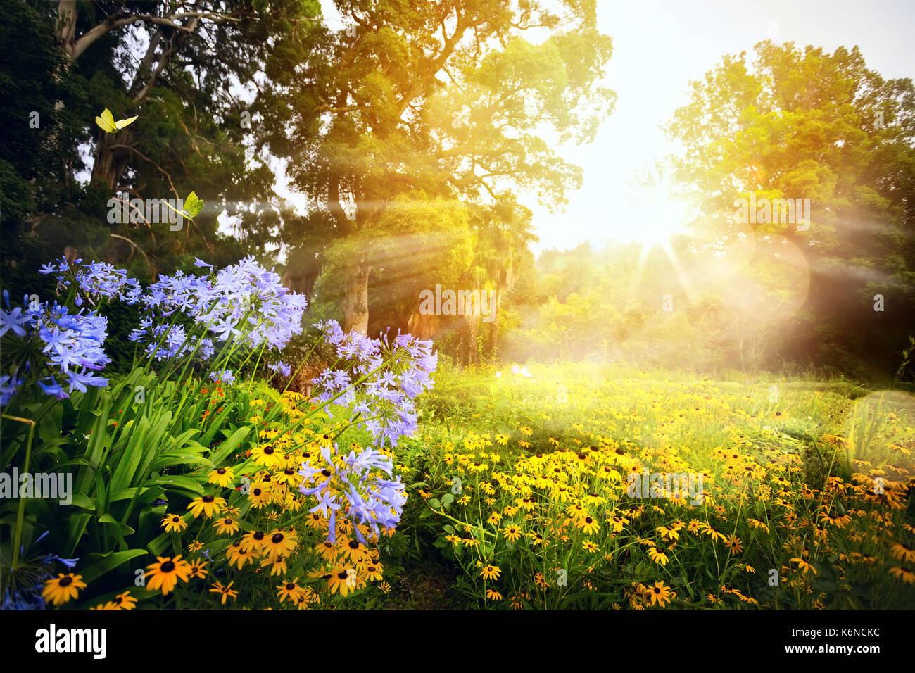 Beautiful landscape sunset in hi-res stock photography and images - Alamy