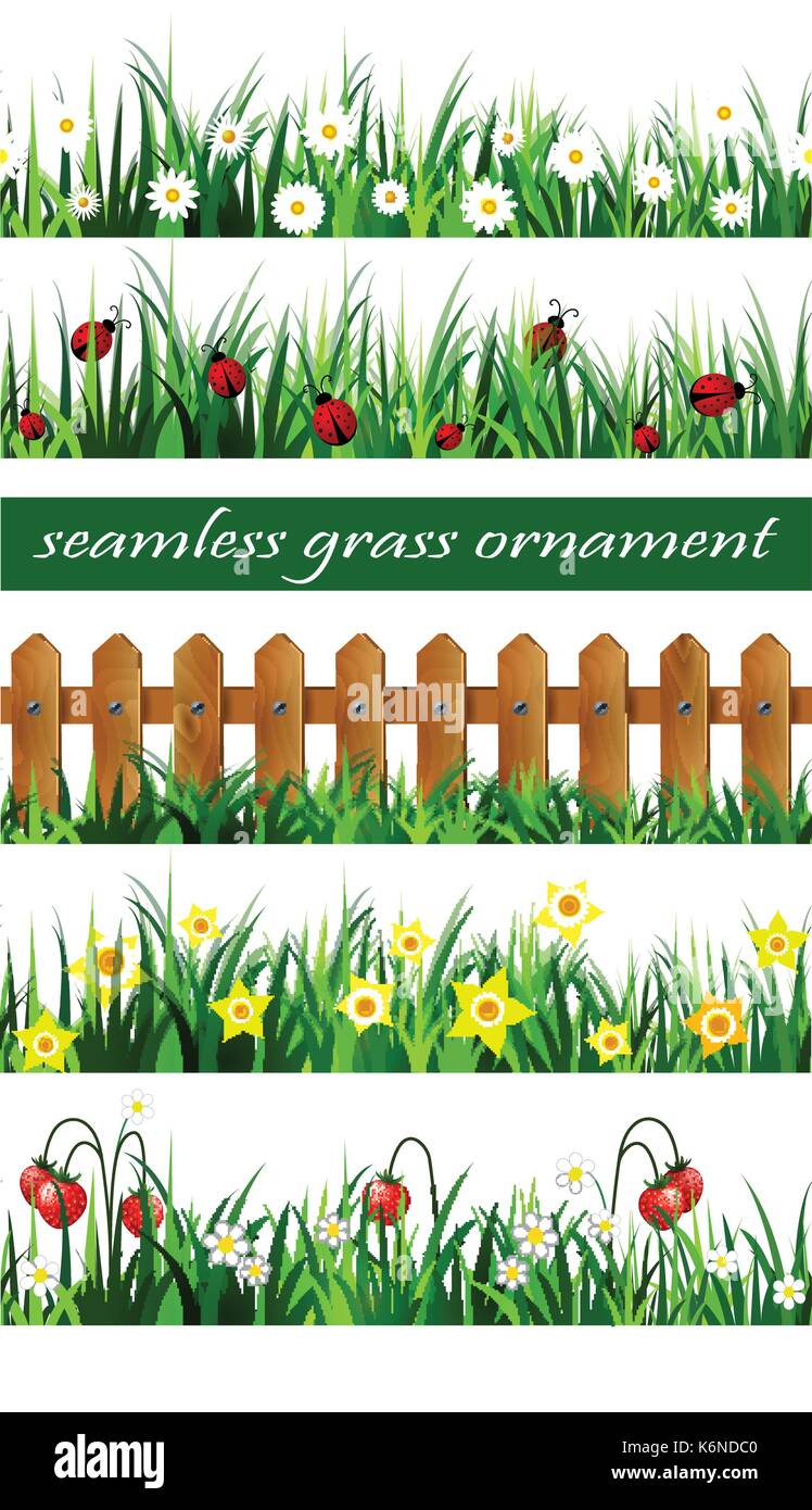 Green Grass seamless set Stock Vector Image & Art - Alamy