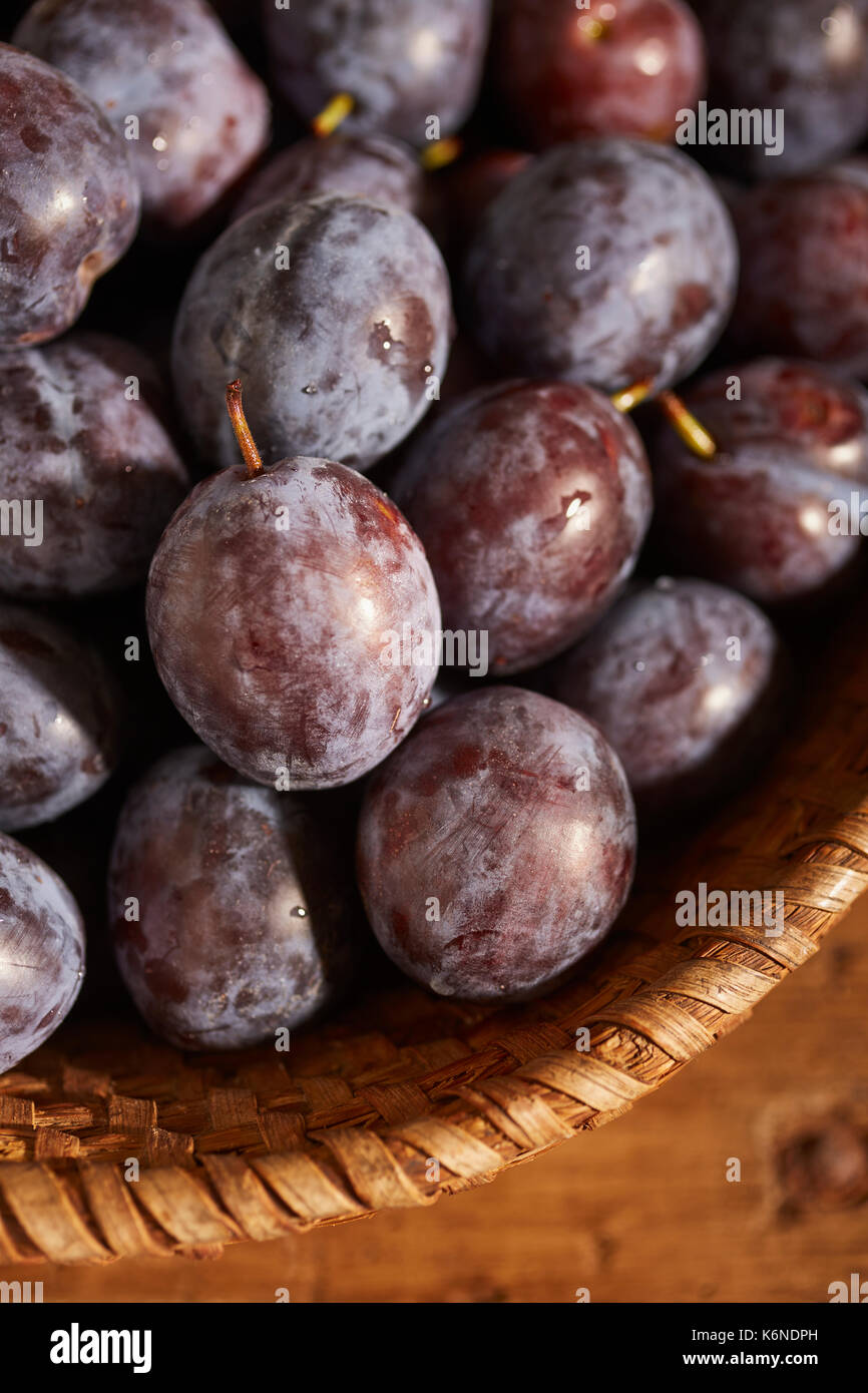 fresh, ripe Italian Prune Plums Stock Photo