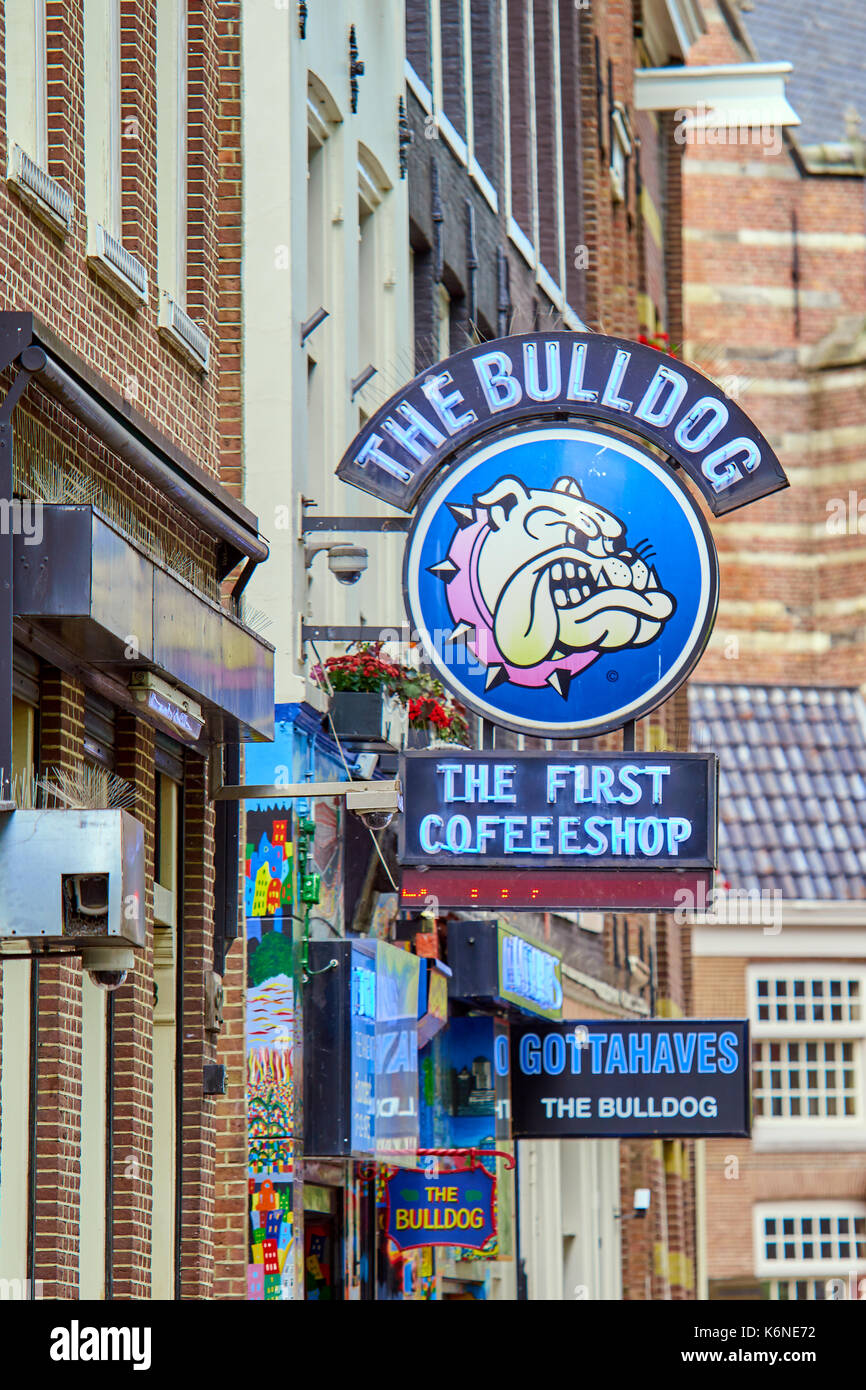Bulldog coffeeshop hi-res stock photography and images - Alamy